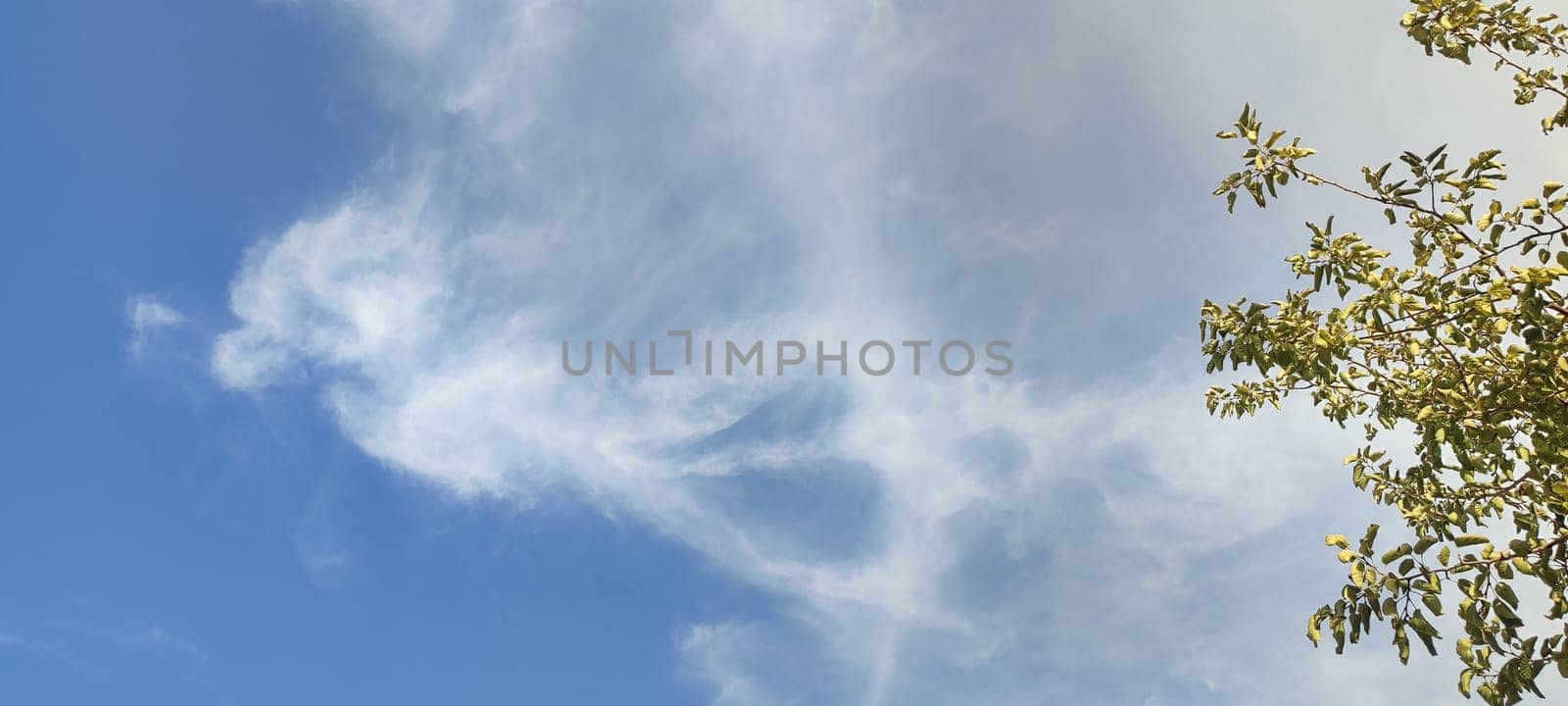 blue sky white clouds stripes, light air atmosphere nature background, weather, heart shape or angel. High quality photo