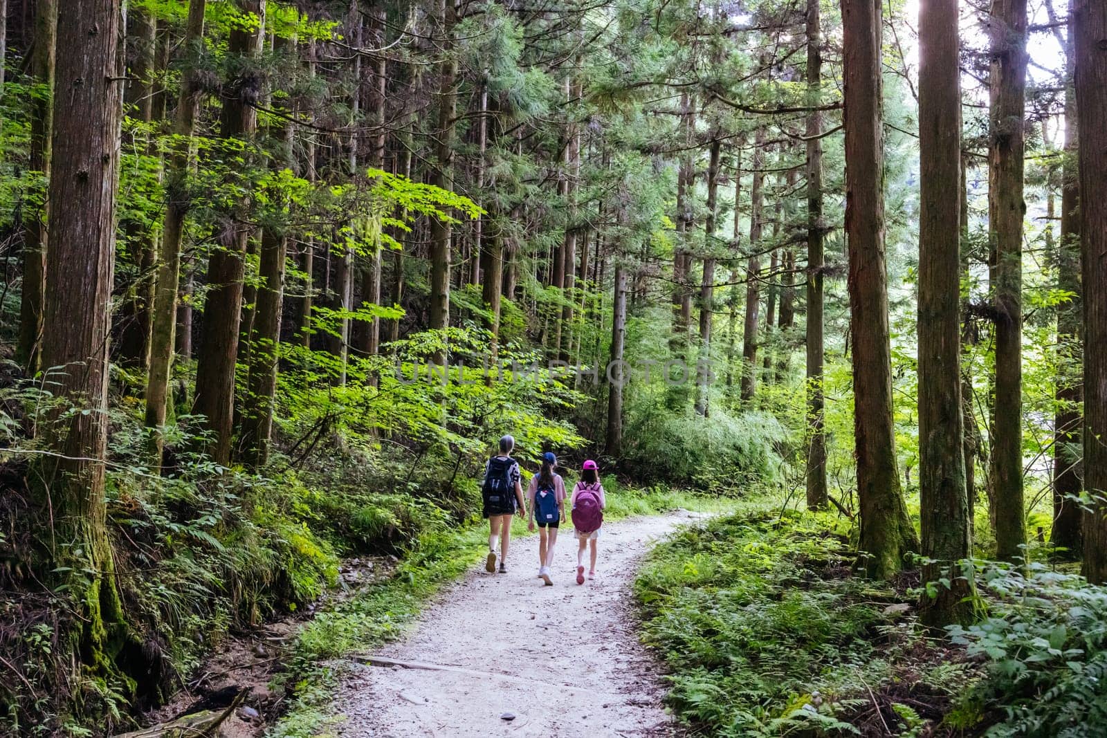 Hiking path landscape on the famous Magome-Tsumago Trail as part of the Nakasendo Way between Magome and Tsumago in Gifu Prefecture, Japan