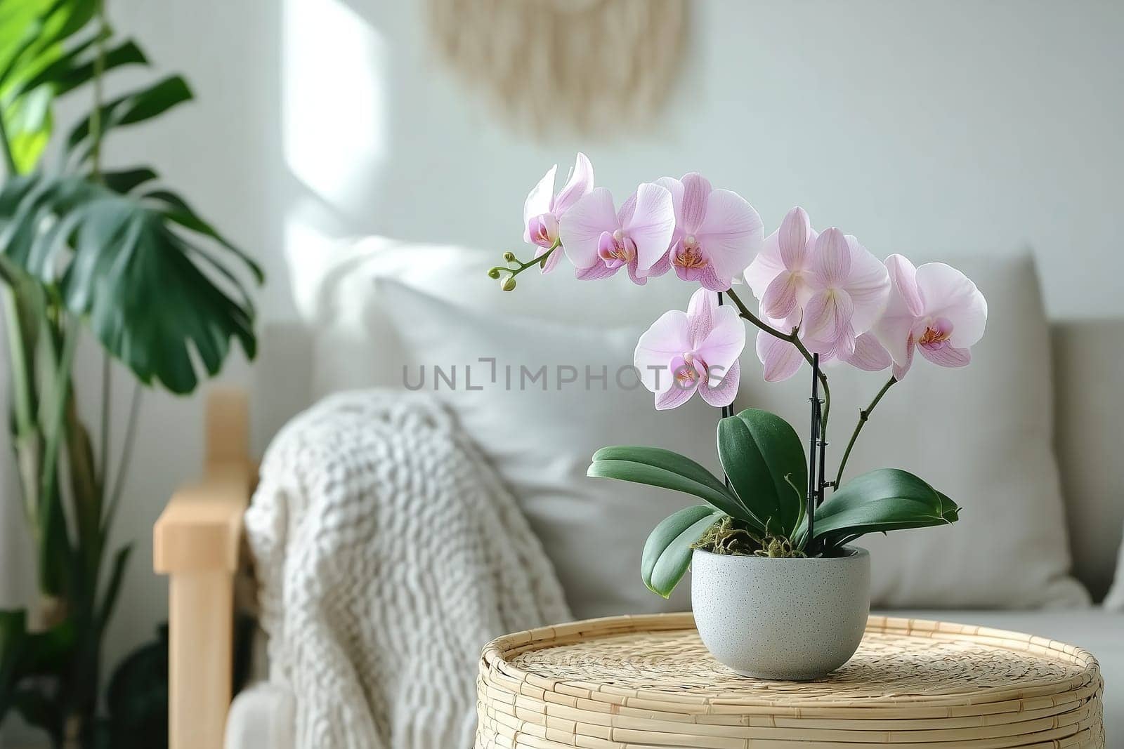 A beautiful arrangement of pink orchids sits gracefully on a woven table in a bright, minimalist living room. Soft sunlight enhances the peaceful ambiance.