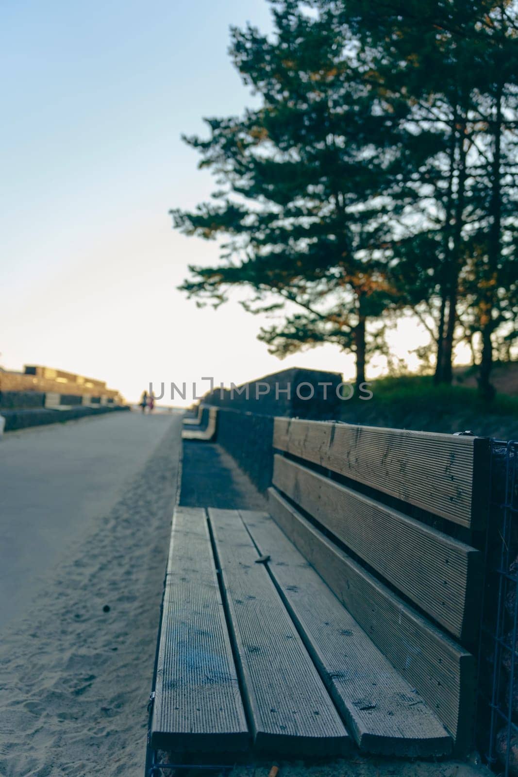 Close-up of an empty wooden bench facing a coastal pathway with trees and soft evening light. Tranquil outdoor setting with a peaceful atmosphere at sunset
