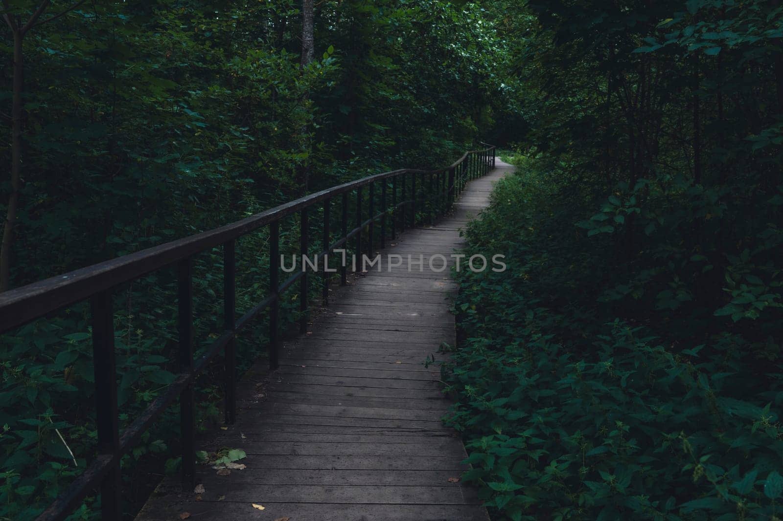 A wooden boardwalk winds through a lush, shaded forest, enveloped in greenery and creating a serene, peaceful pathway through dense vegetation in a natural setting