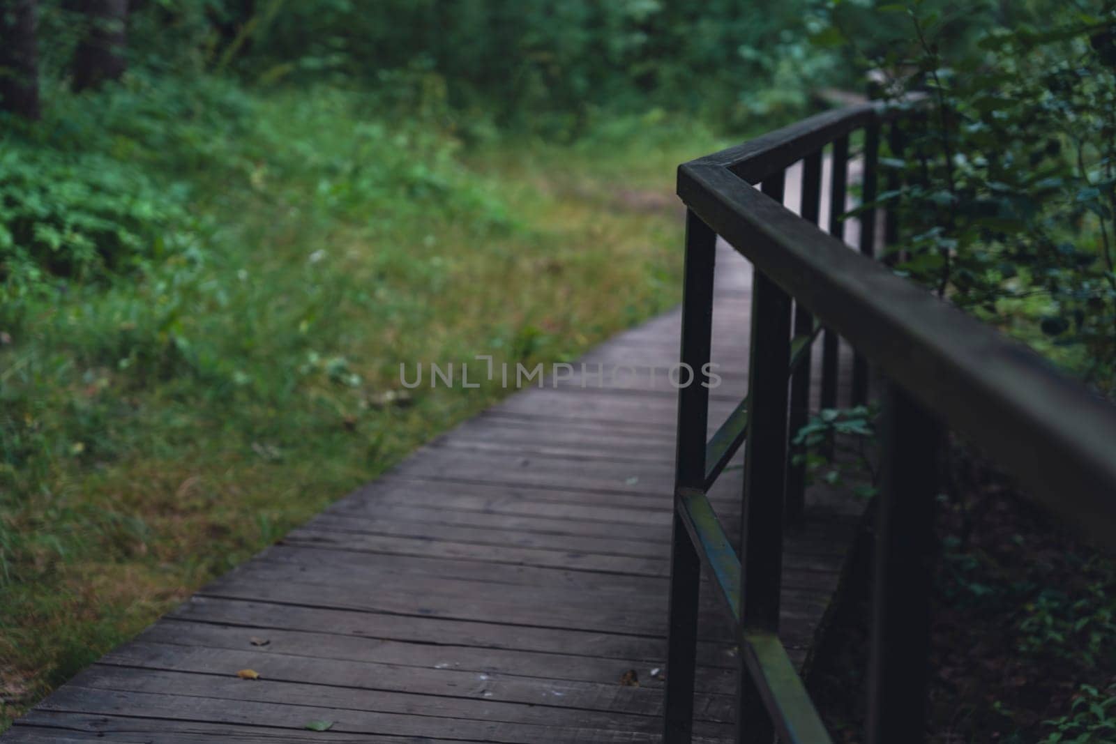 A wooden boardwalk winds through a lush, shaded forest, enveloped in greenery and creating a serene, peaceful pathway through dense vegetation in a natural setting