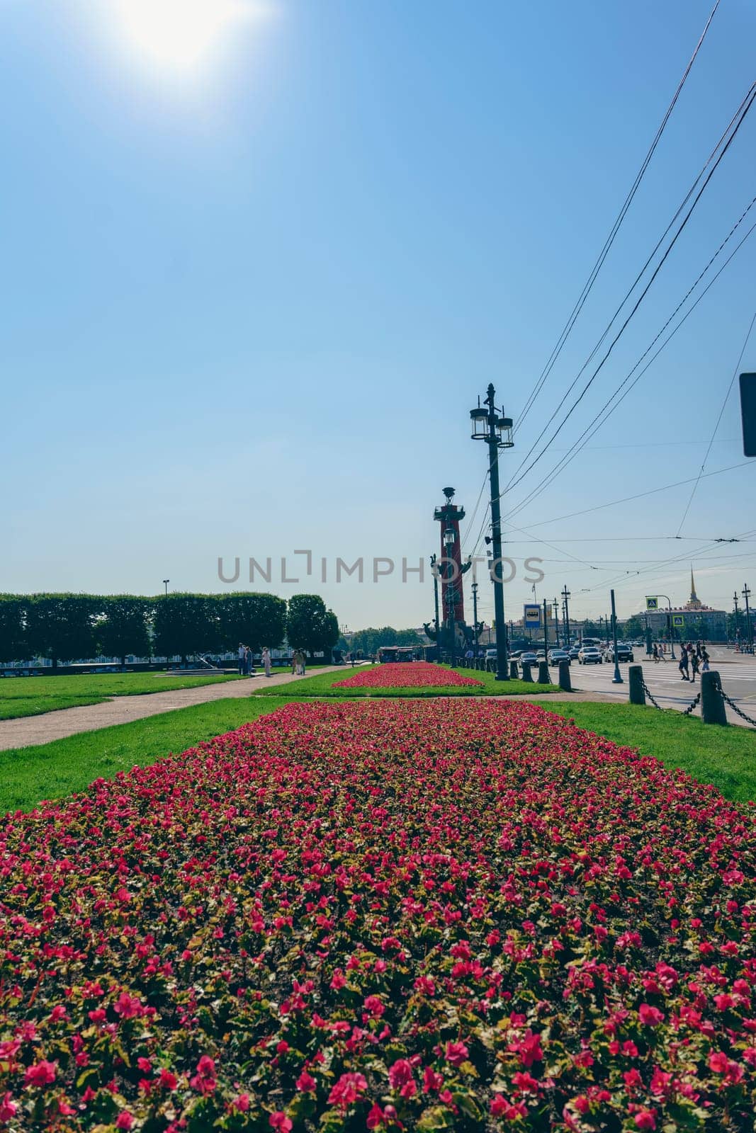 Vibrant red flowers in full bloom along a city waterfront, with historical structures and a clear blue sky in the background. A lively and colorful urban landscape