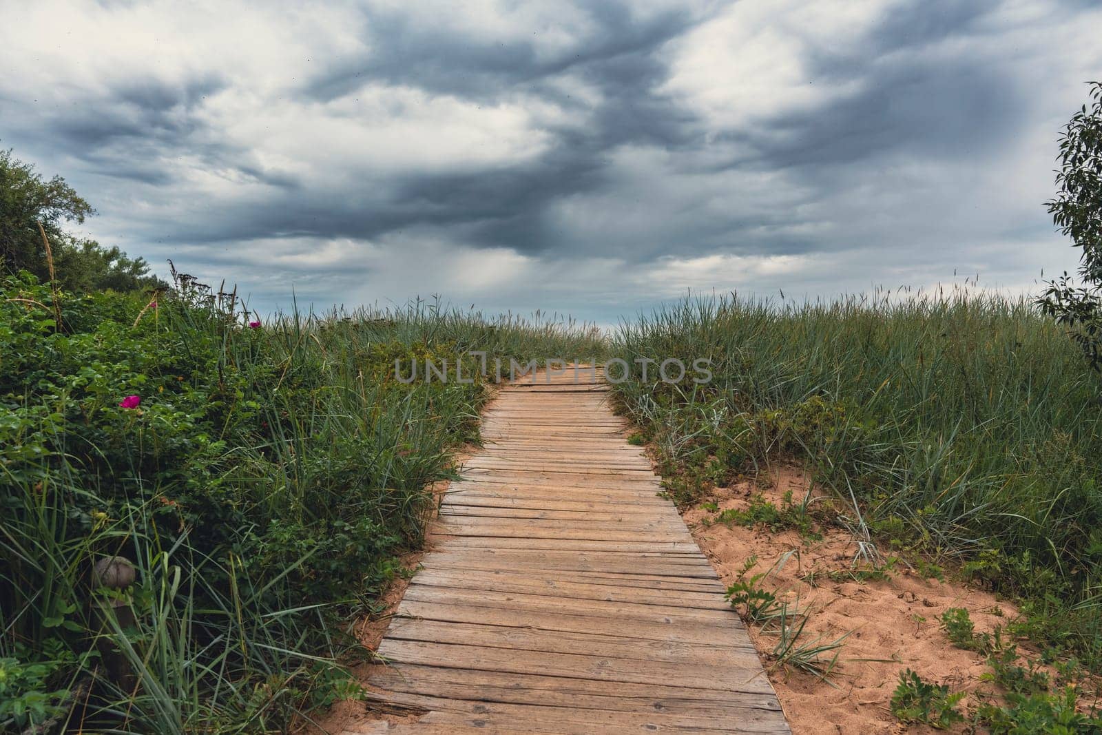 A wooden boardwalk winds through grassy dunes, leading toward the beach under an overcast sky, capturing the serene and rustic beauty of a coastal landscape