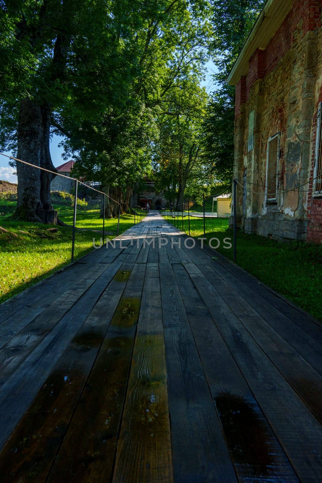 Pathway leading to an ancient stone fortress surrounded by large trees, creating a tranquil and historic ambiance amidst lush greenery