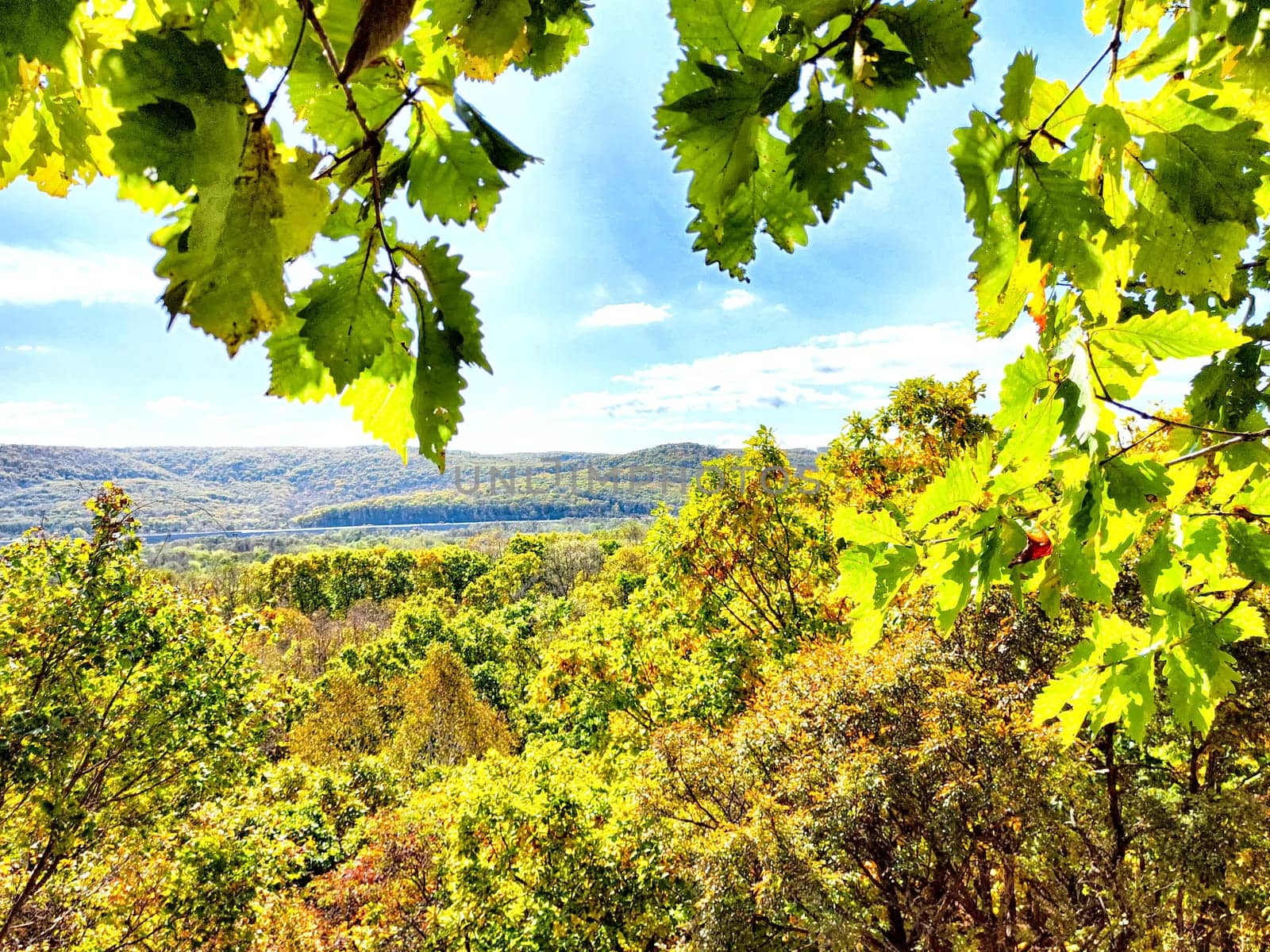 Lush trees frame a panoramic landscape with hills and a bright sky in autumn