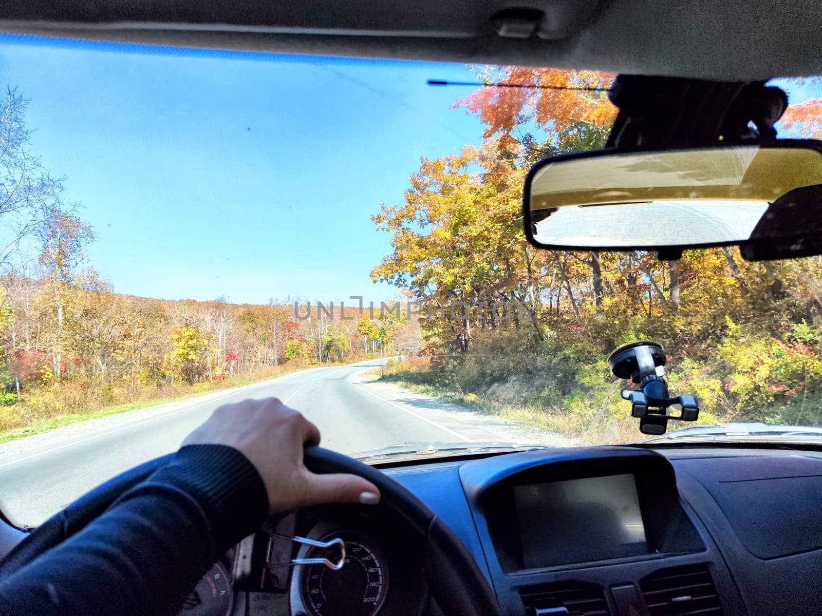 Car salon, windshield, hand of woman on steering wheel and landscape. View from seat of driver on nature at sunny day. Single trip of female traveler