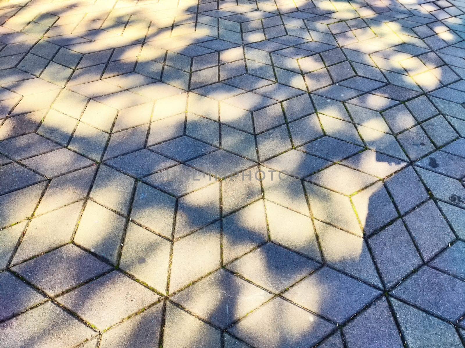 Sunlight casts intricate shadow patterns on textured pavement in a bright setting.
