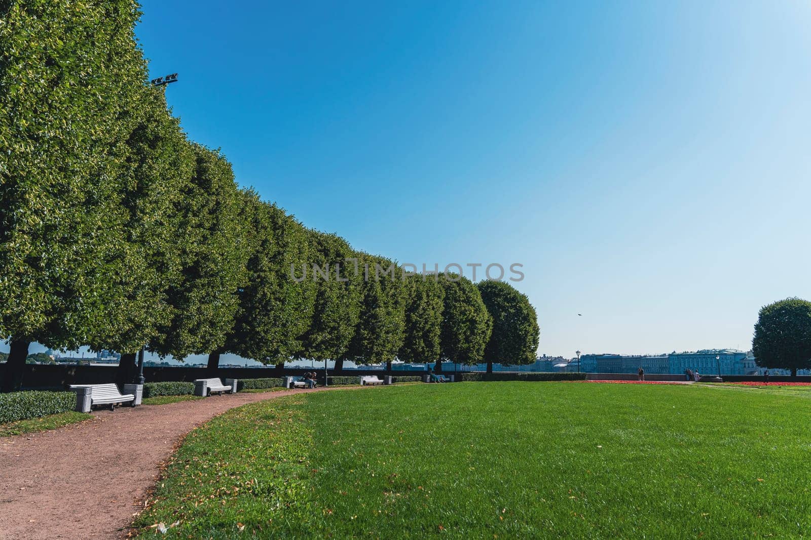A spacious park with a row of trimmed trees casting shade over benches along a pathway. Expansive green lawn and clear blue sky create a calm, inviting outdoor atmosphere