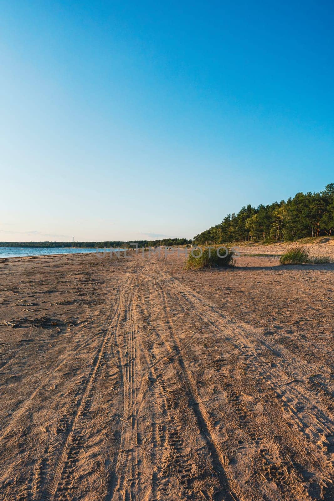 Wide sandy beach with visible tire tracks leading toward a distant forest and horizon, under a clear blue sky. Calm, open space ideal for outdoor recreation and nature exploration