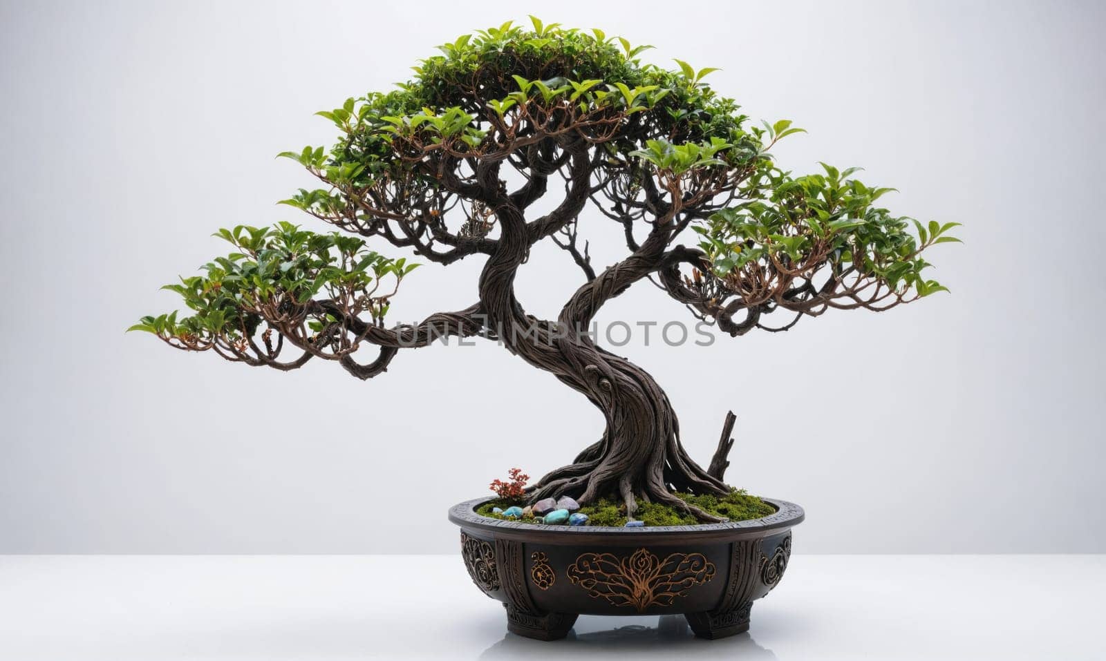 A bonsai tree with intricate branches and lush green foliage is planted in an ornate pot.
