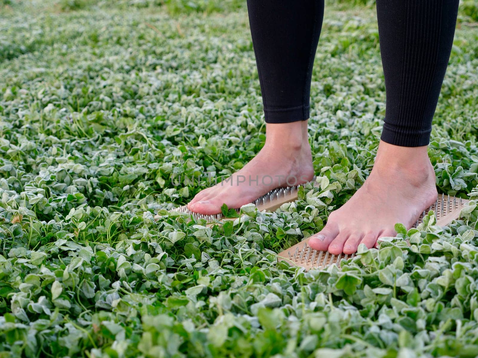 A barefoot woman stands on nails sadha board among the grass. Spiritual practice meditation in nature. Close-up