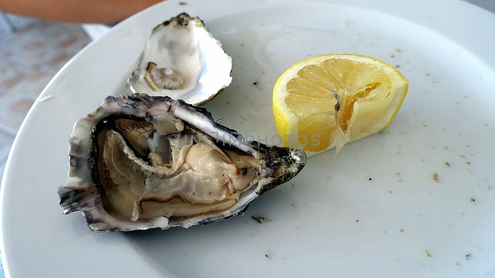Two oysters, one empty and another full, on a plate with a slice of lemon.