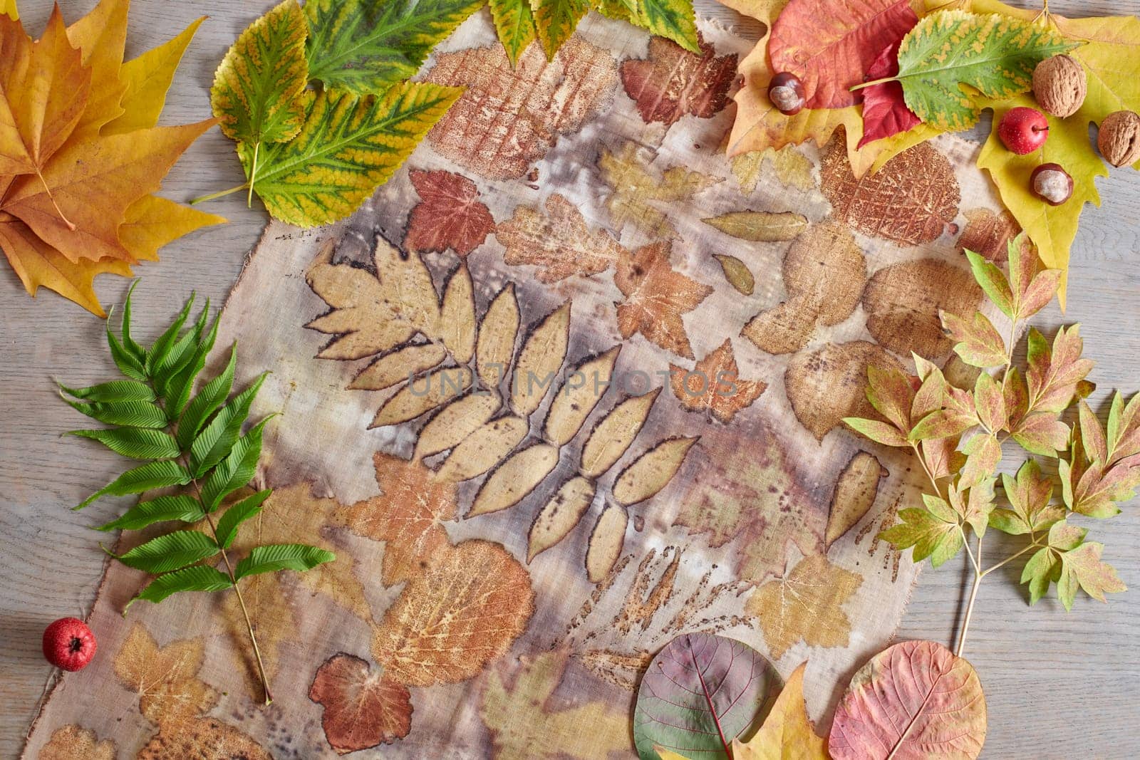 Autumn leaves, nuts and berries lying on hand-dyed fabric strip using eco-print technique