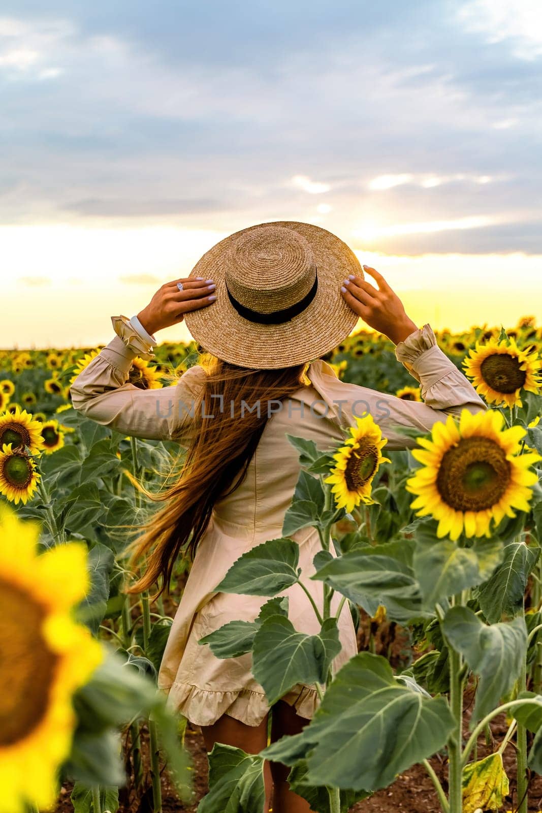 Woman sunflower field. Happy girl in blue dress and straw hat posing in a vast field of sunflowers at sunset. Summer time. by Matiunina