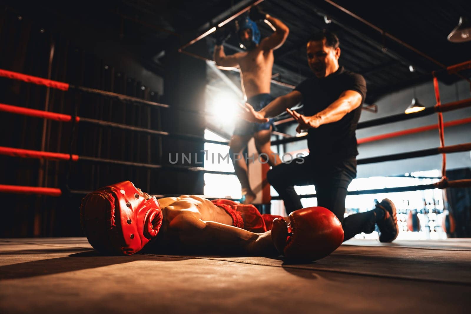 Boxing referee intervene, halting the fight to check fallen competitor after knock out. Referee pauses the action for boxer fighter's safety after KO with winner posing in background. Impetus