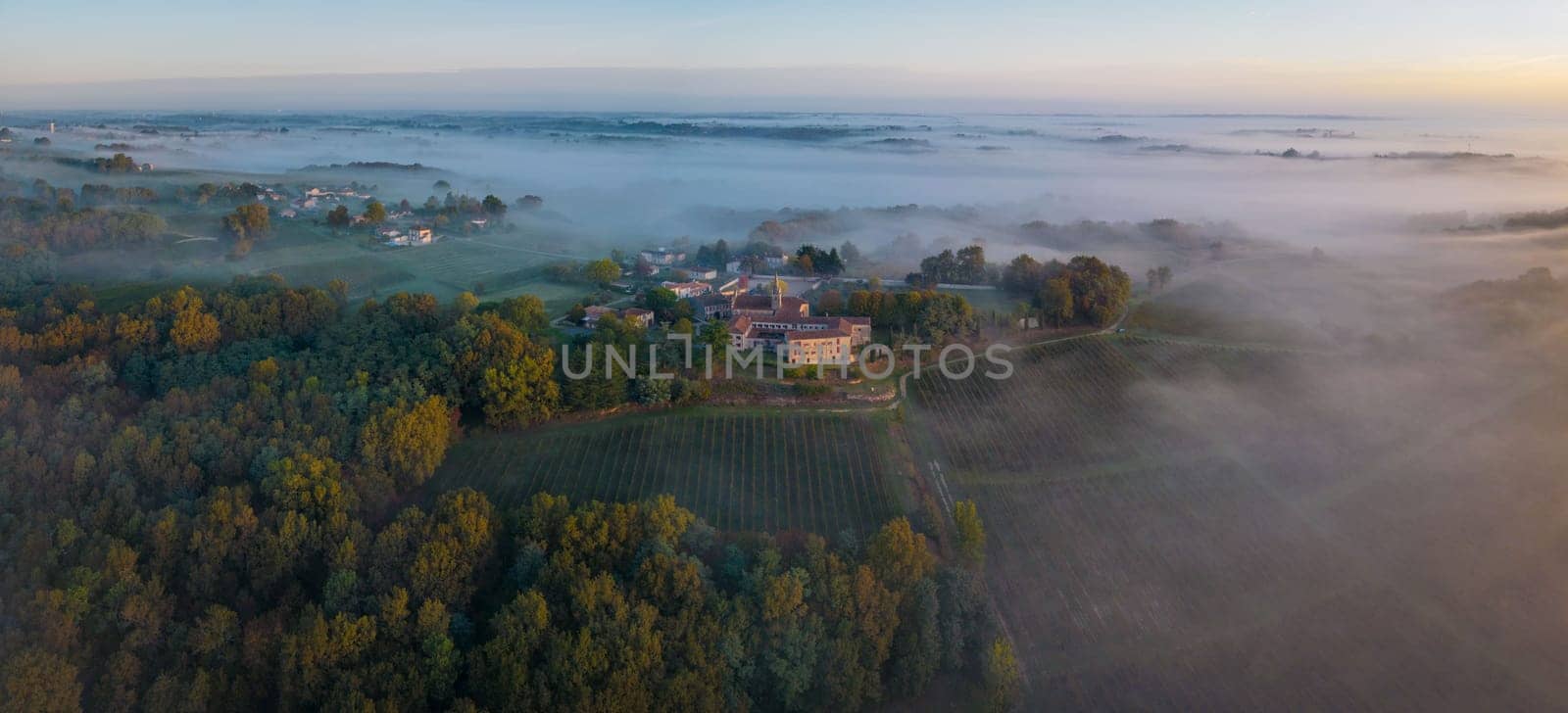 Aerial view of vineyard under fog, Rions, Gironde, France. High quality photo