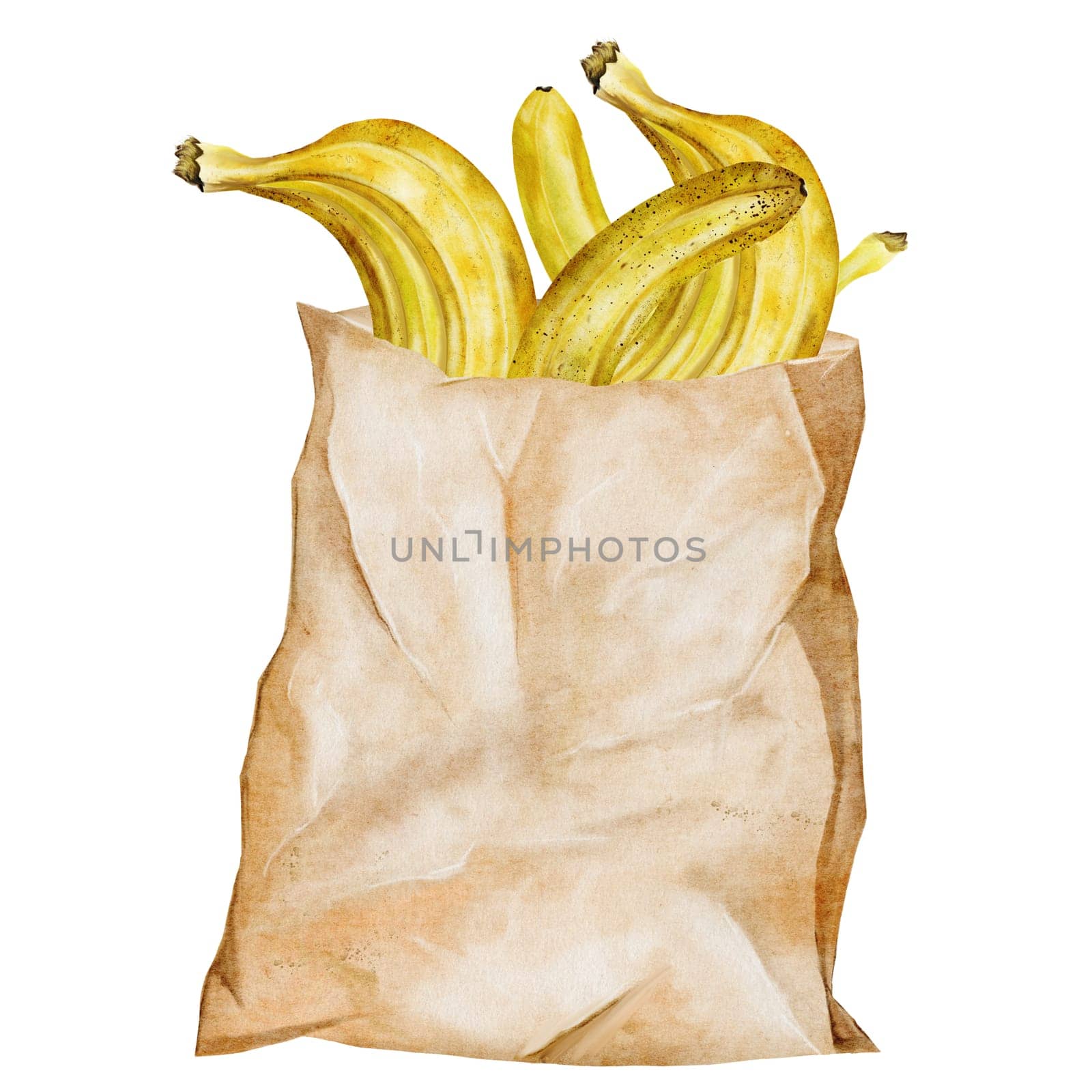 Bananas watercolor. Hand drawn ripe tropical fruit in paper bag. Clip art isolated on white background realistic exotic plant. Ideal for posters, health food stores and product cards