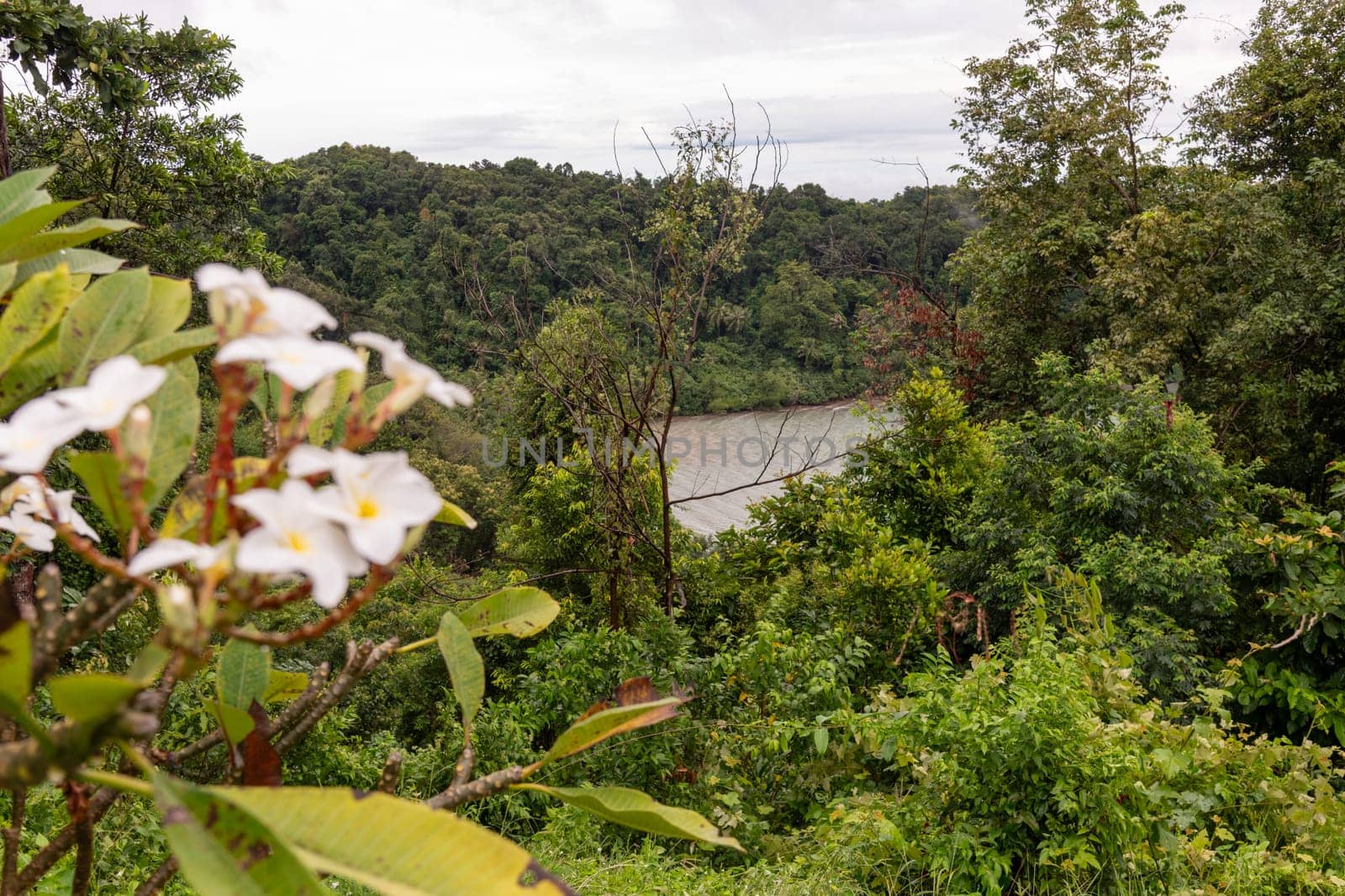 A peaceful scene featuring a flowing river, framed by vibrant plants and delicate white flowers blooming
