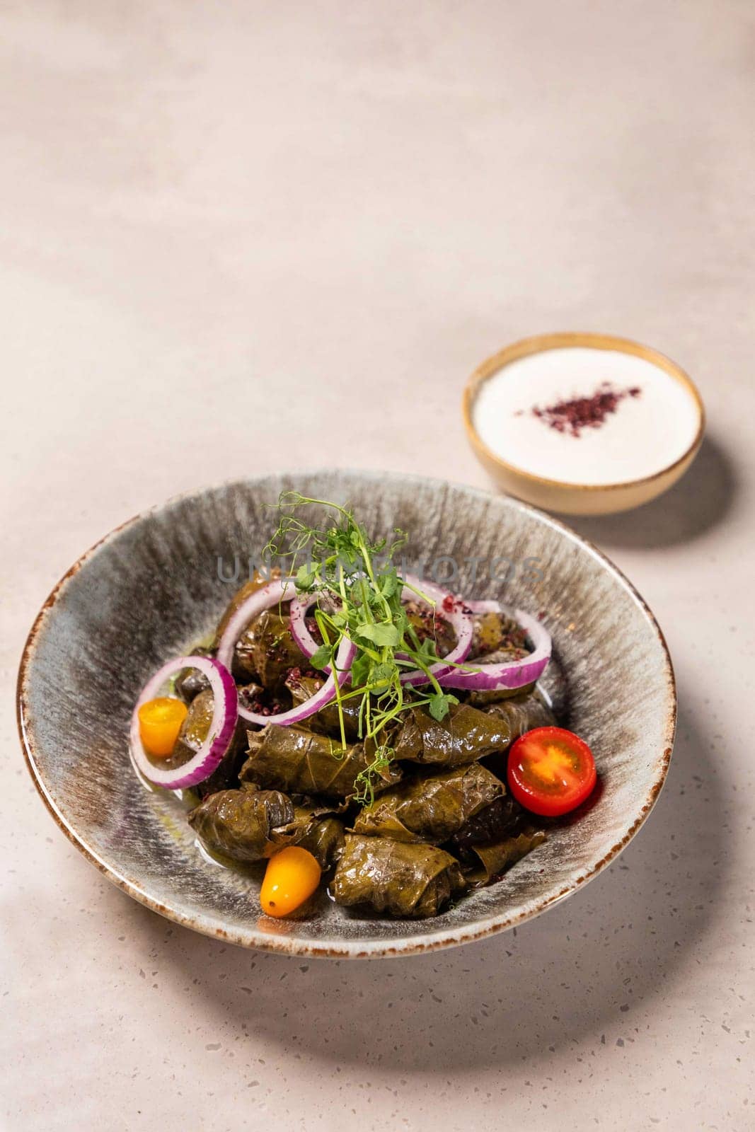 Dolma is a dish consisting of various vegetables, typically grape leaves, stuffed with rice and sometimes meat