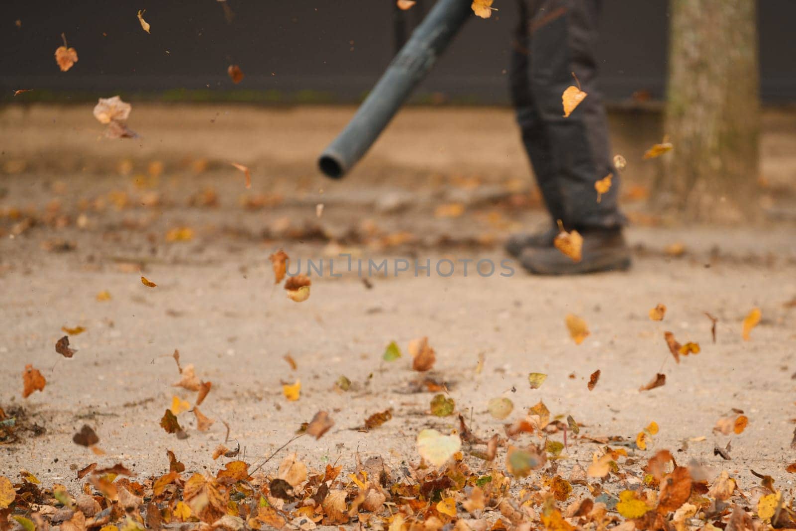 Man cleaning the park with a leaf blower