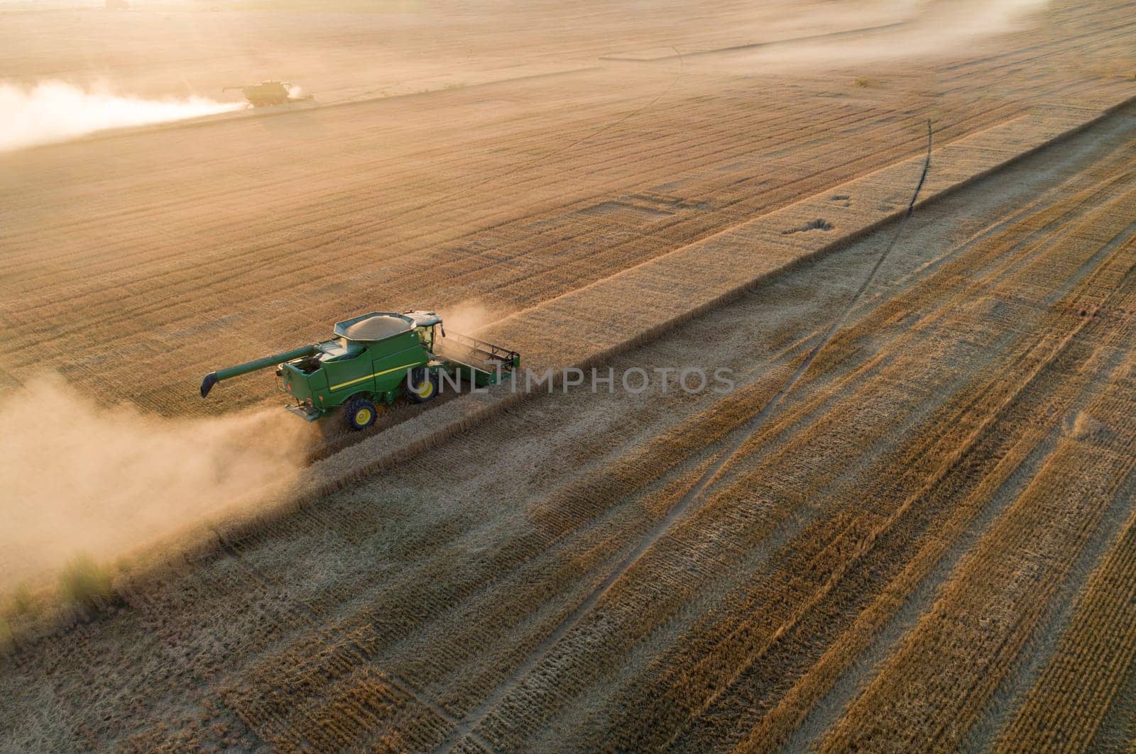 A green combine harvester is driving through a field of grain. The sky is orange and the sun is low in the sky