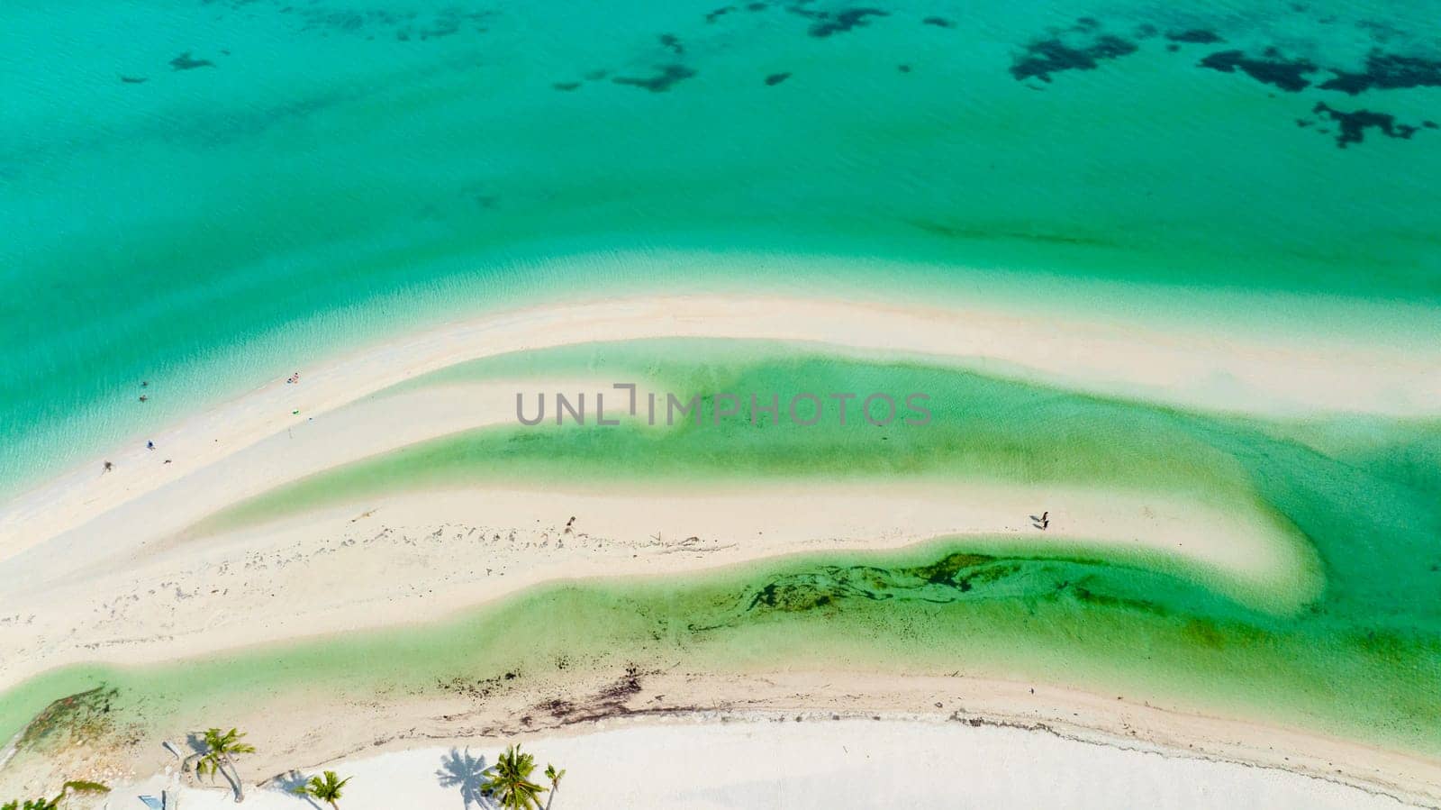 Aerial view of beautiful beach, palm trees by turquoise water. Bantayan island, Philippines.