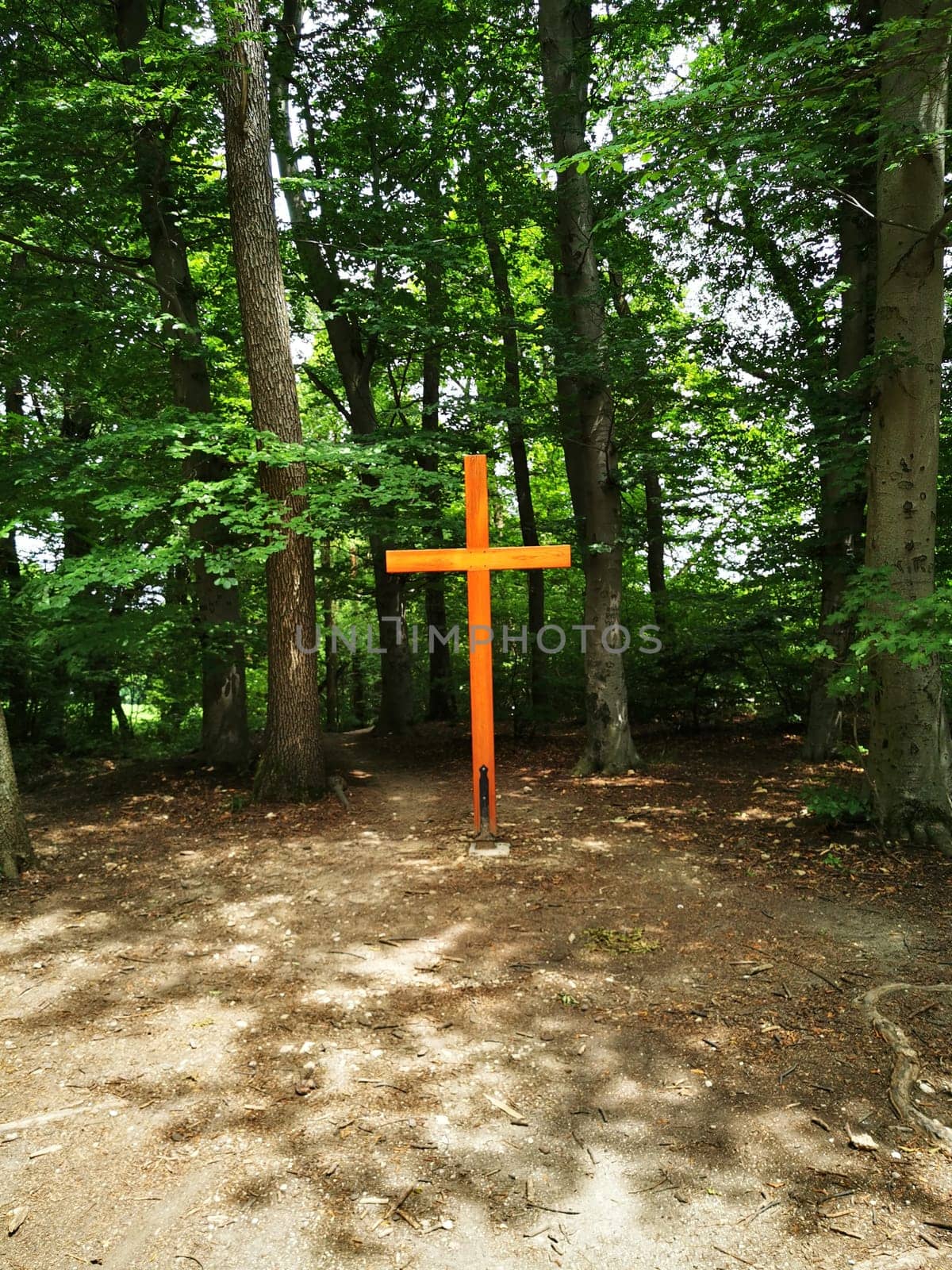 The bright orange cross is prominently positioned within a serene forest, surrounded by tall trees and dappled sunlight filtering through the leaves, creating a calming atmosphere.