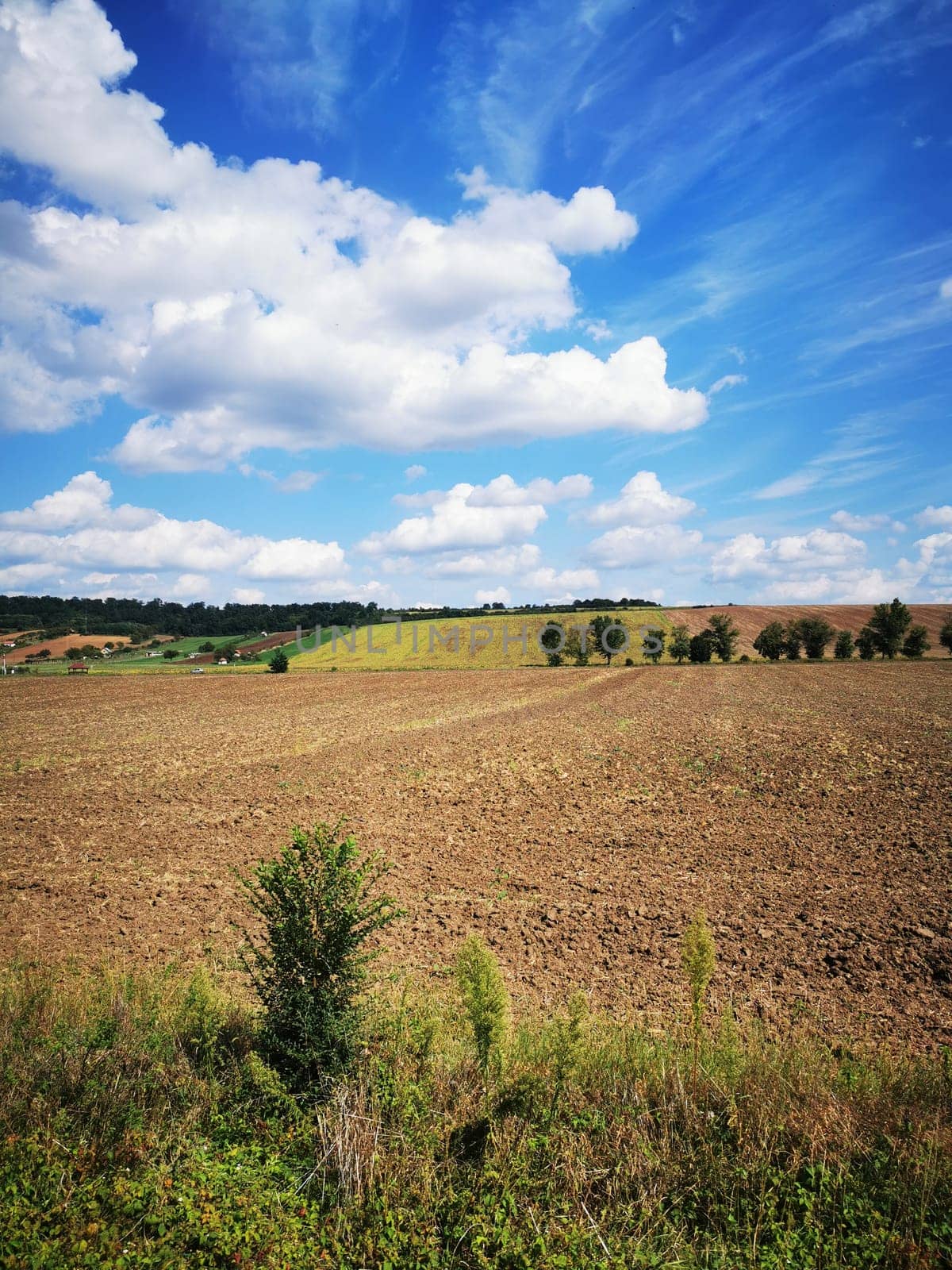 The vast landscape shows freshly plowed fields under a bright blue sky filled with fluffy clouds. Green hills rise in the distance, signifying fertile land ready for cultivation.
