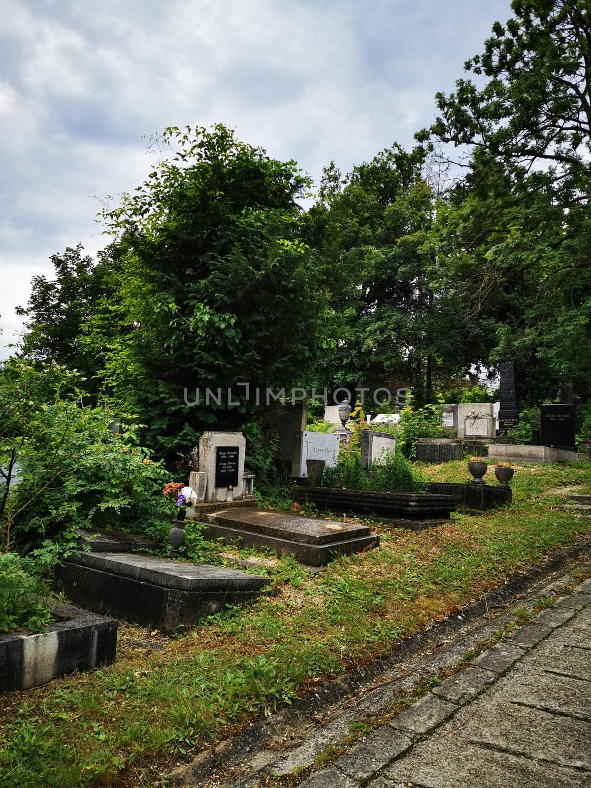 The cemetery features various gravestones, some overgrown with grass and plants, under a moody, cloudy sky, creating a serene and reflective atmosphere.