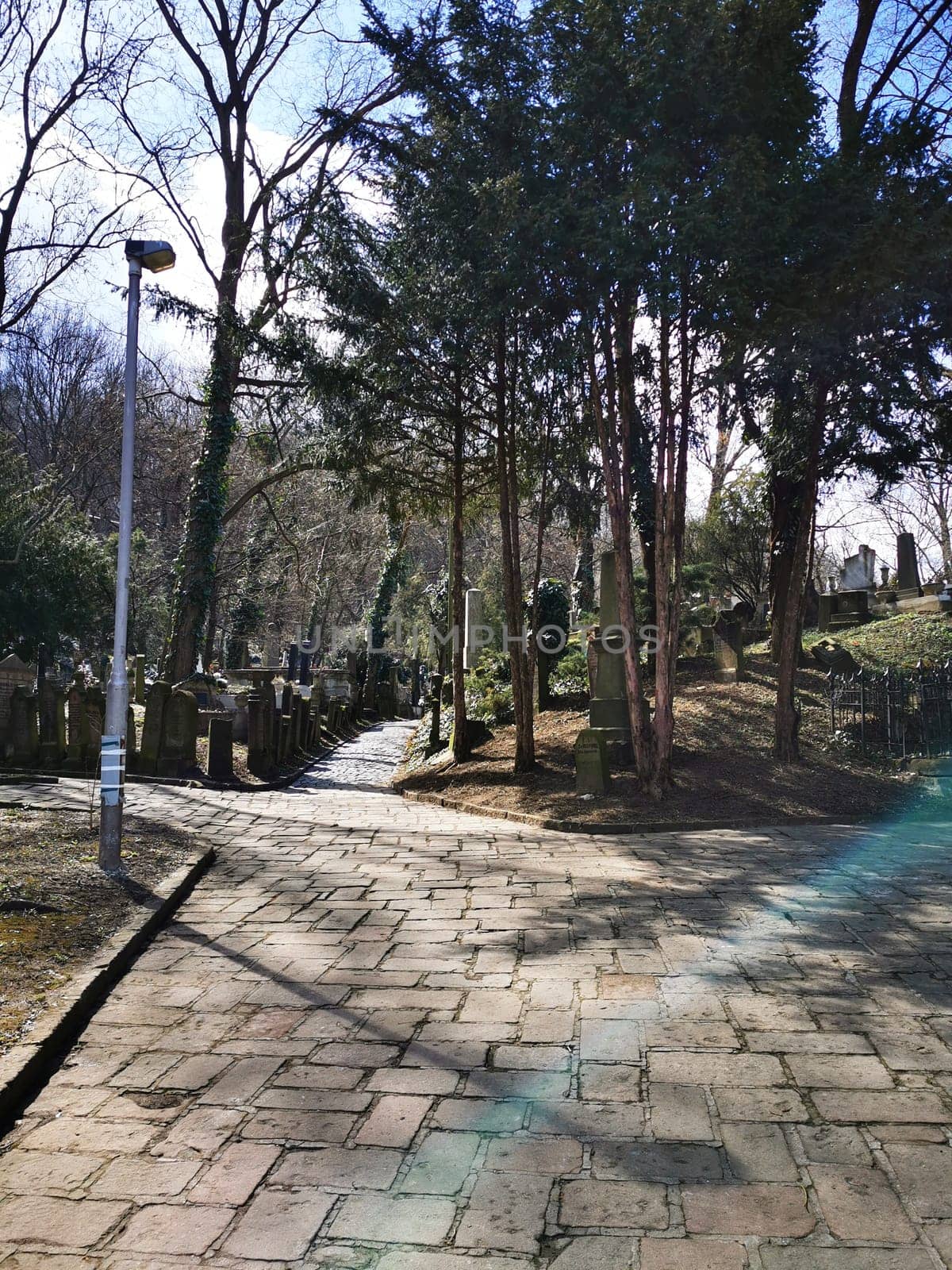 A serene pathway winds through a historical cemetery, flanked by mature trees and headstones, inviting quiet reflection on a sunny afternoon.