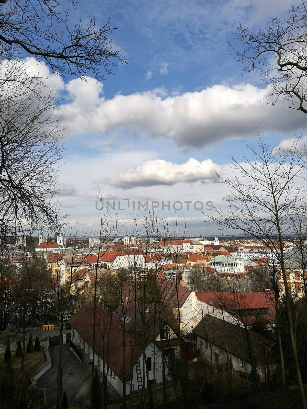 From a high vantage point, the town reveals a blend of rooftops beneath a blue sky filled with fluffy clouds, surrounded by trees and hills in the distance.