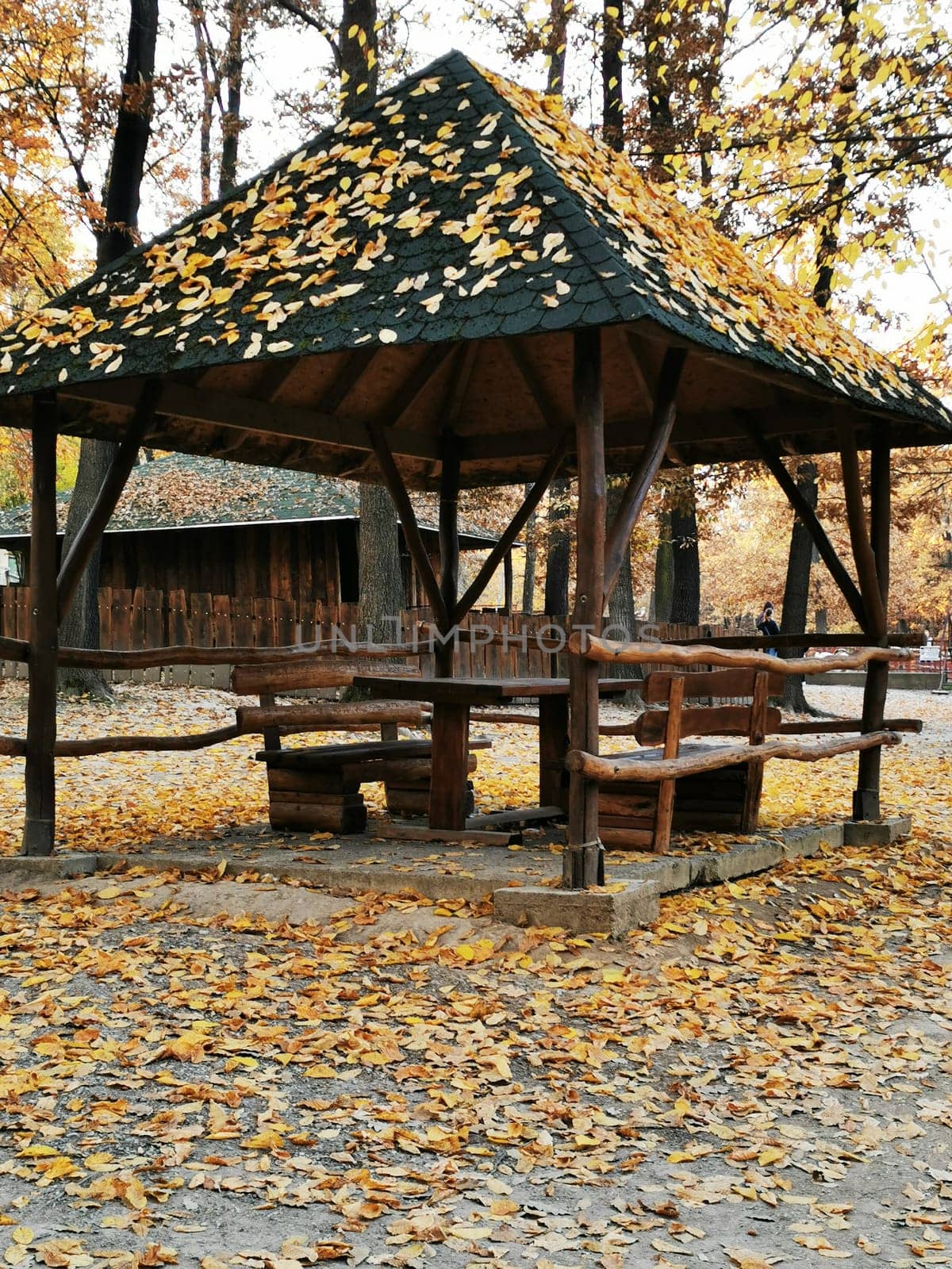A wooden gazebo sits amid a forest covered in vibrant autumn leaves, showcasing the serene beauty of nature during midday in the fall season.