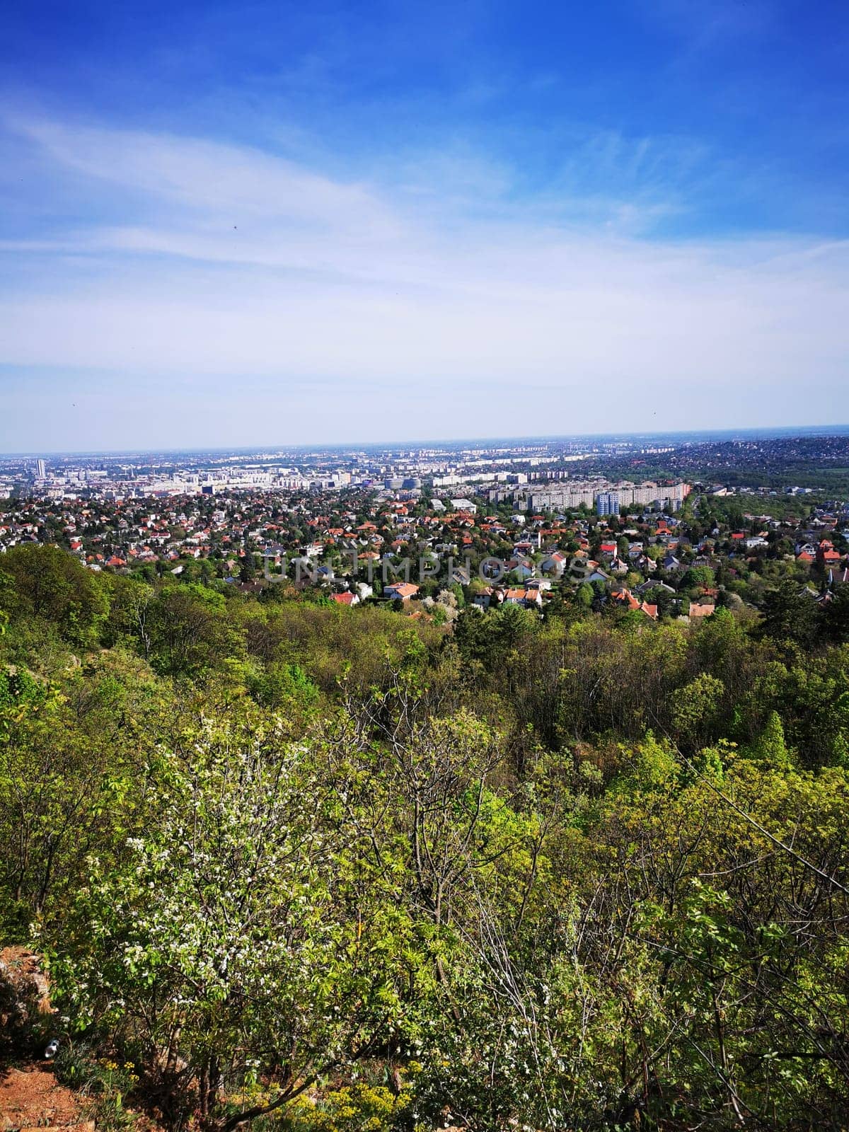From a high vantage point, the landscape reveals a vast cityscape surrounded by lush greenery, showcasing residential areas basking in bright sunlight.