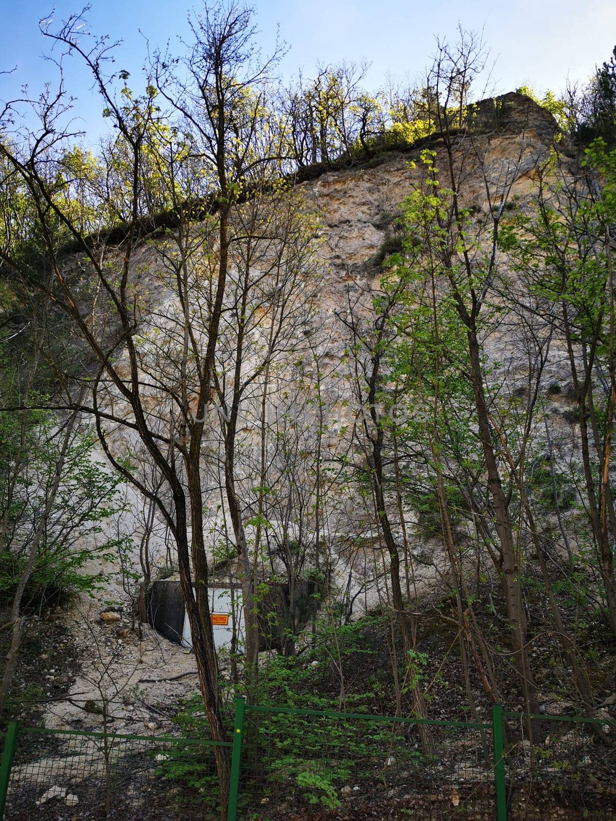 A chalk cliff side rises beside sparse vegetation, with trees reaching toward the sky under clear blue skies. The sun casts a warm glow on the natural surroundings.