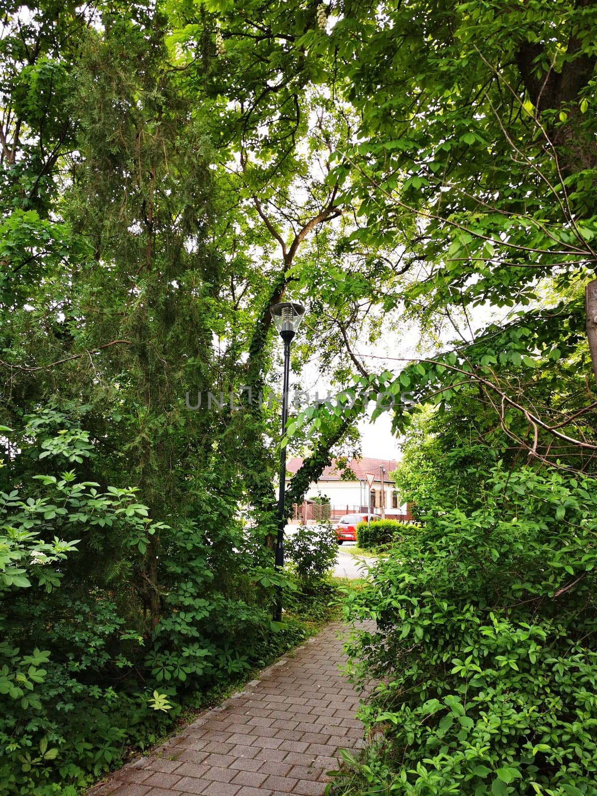 A tranquil path winds through vibrant greenery, leading towards a peaceful neighborhood filled with houses and trees under bright sunlight.