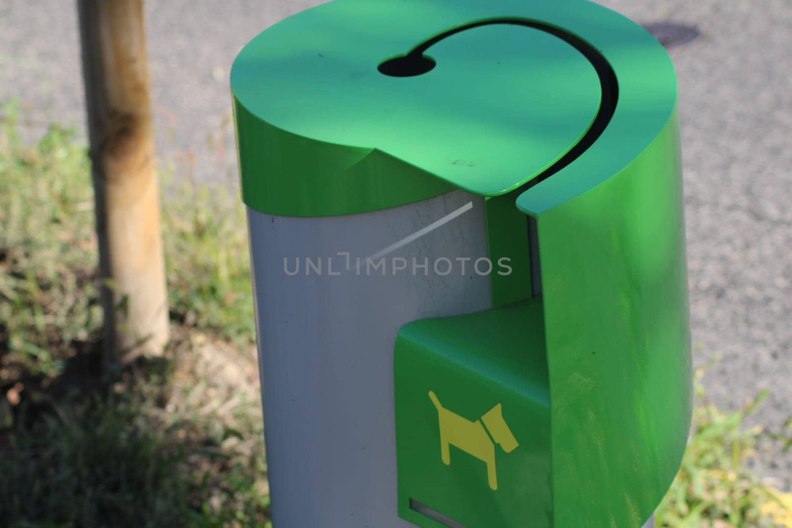 A green dog waste disposal station sits by a pathway in a park, encouraging responsible pet ownership and contributing to a cleaner outdoor space for everyone.