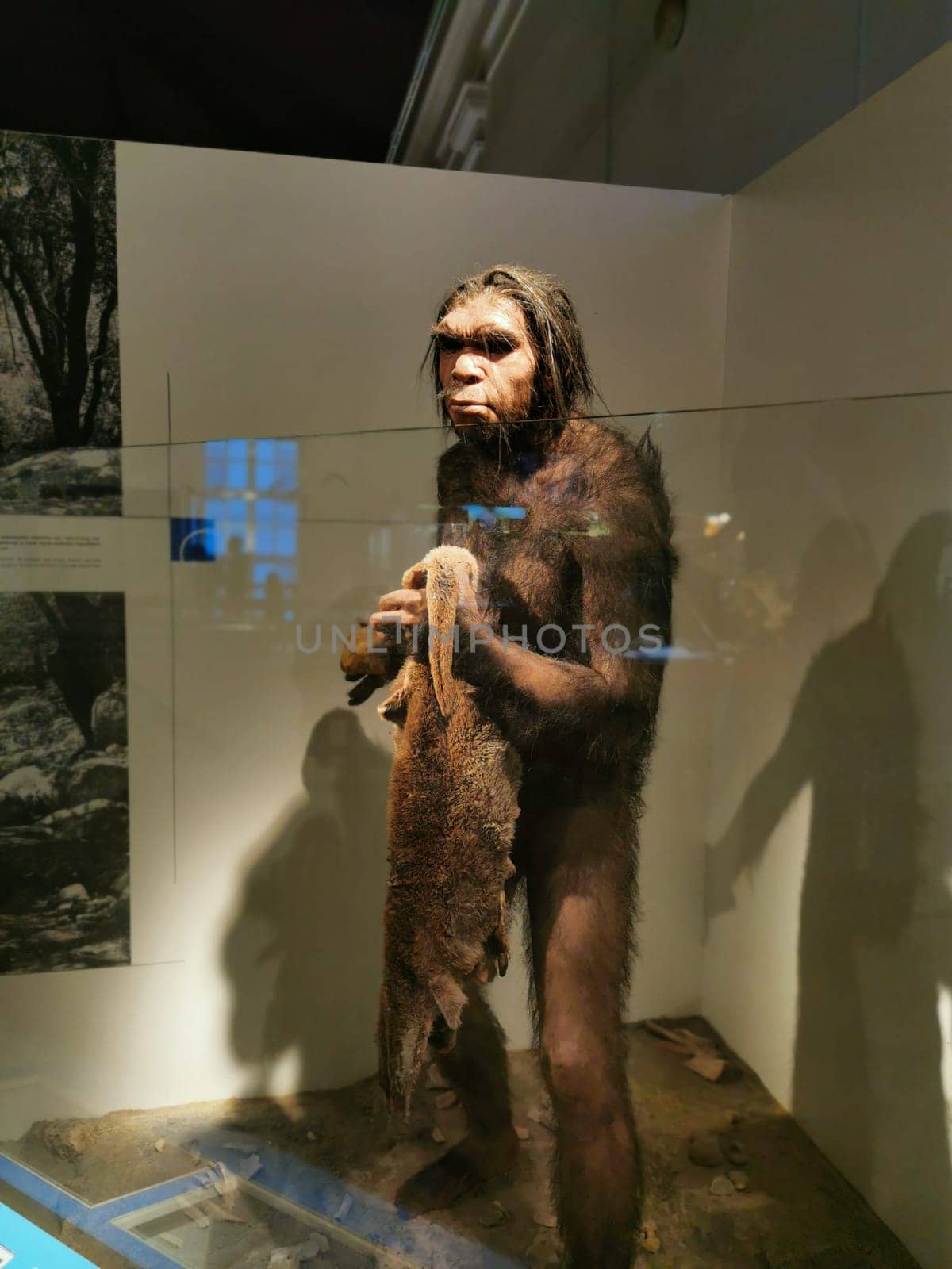 The exhibit features a detailed model of a prehistoric human, displaying the characteristics of early hominins, surrounded by informative displays about evolution.