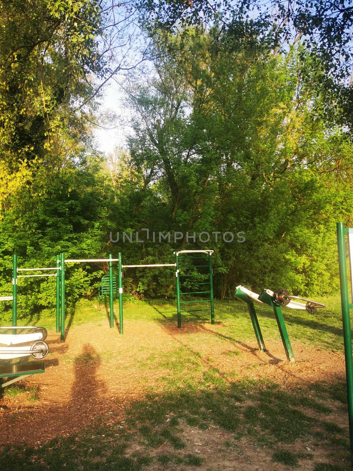 This fitness area features exercise equipment designed for outdoor use, surrounded by vibrant trees in a serene park setting during the late afternoon.