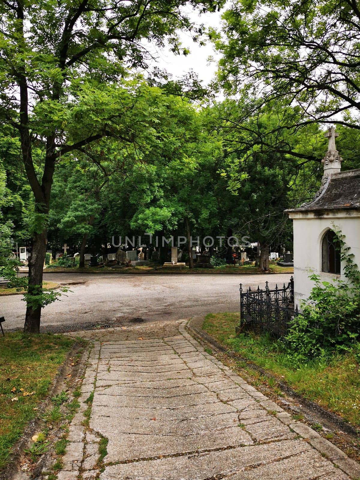 A winding path leads into a peaceful cemetery filled with gravestones and surrounded by tall trees. The atmosphere exudes calmness and reflection.