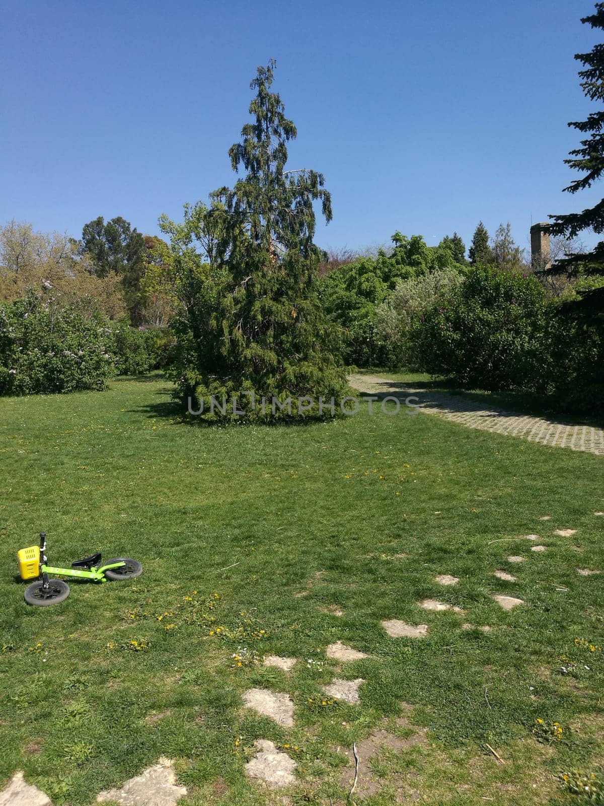 A bright, sunny day in a green park features a small bike lying alone next to a lush tree, highlighting the tranquil setting perfect for play and relaxation.