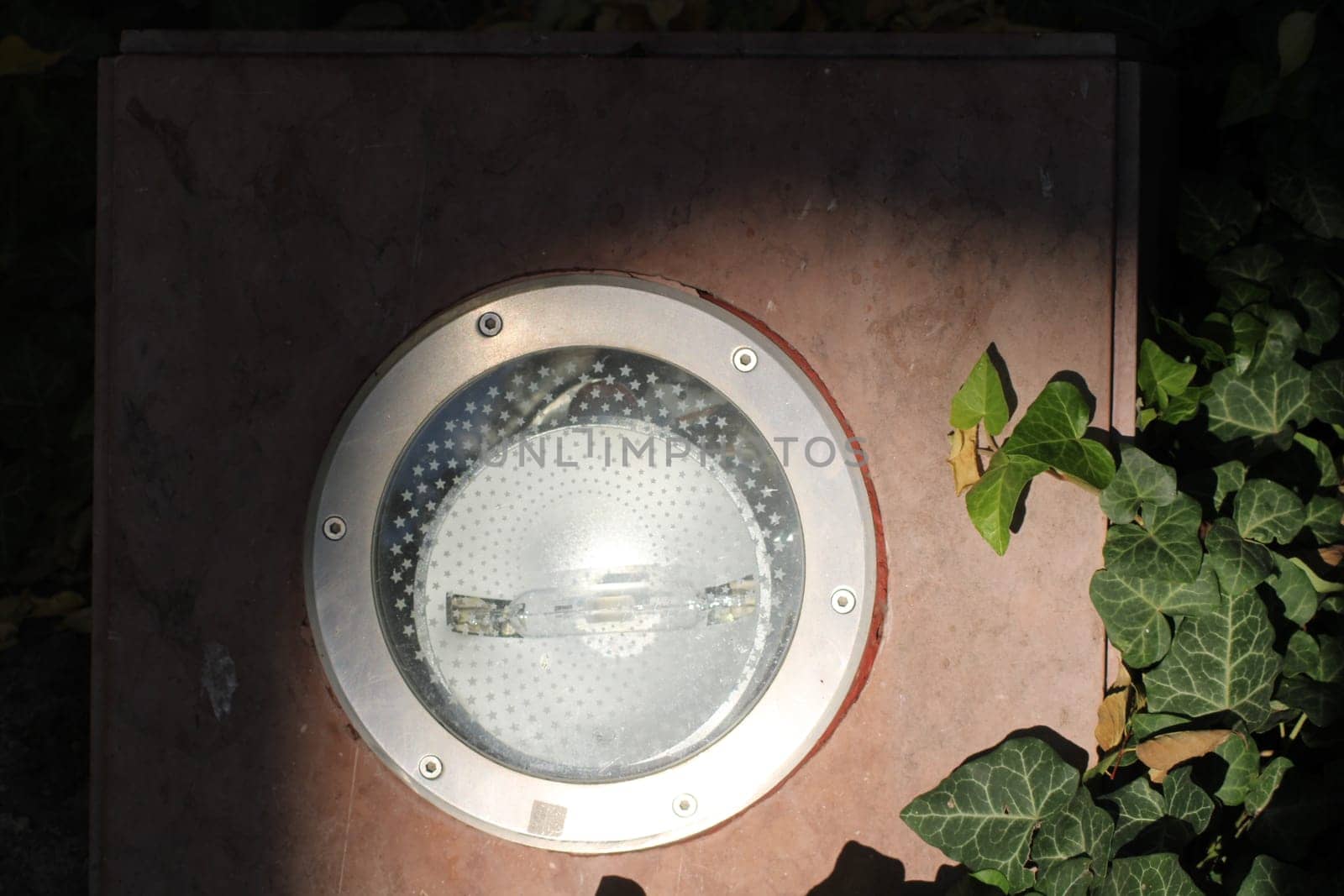 Bright round outdoor light fixture illuminates a serene garden space, partially hidden by lush ivy and basking in warm daylight, creating a tranquil atmosphere.
