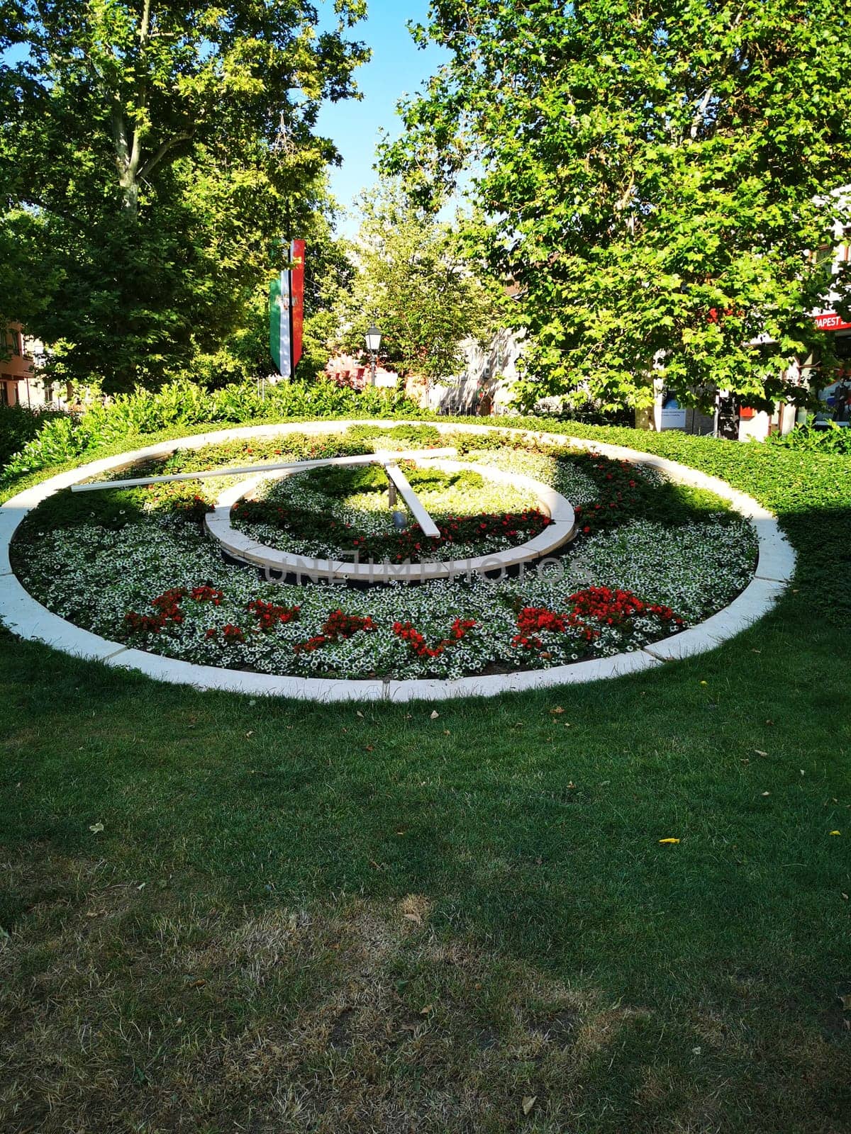 A circular garden design showcases vibrant flowers in various colors, surrounded by lush greenery, creating a serene atmosphere in a public park during daylight.
