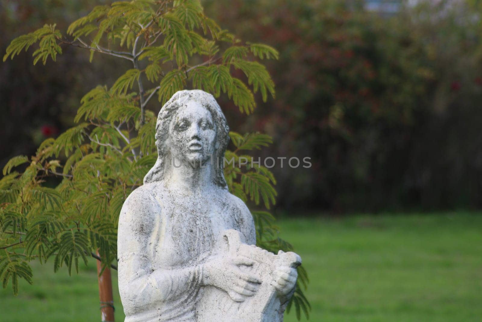 A stone sculpture depicts a woman gently cradling a cat, surrounded by lush greenery in a peaceful garden, illuminated by soft daylight.