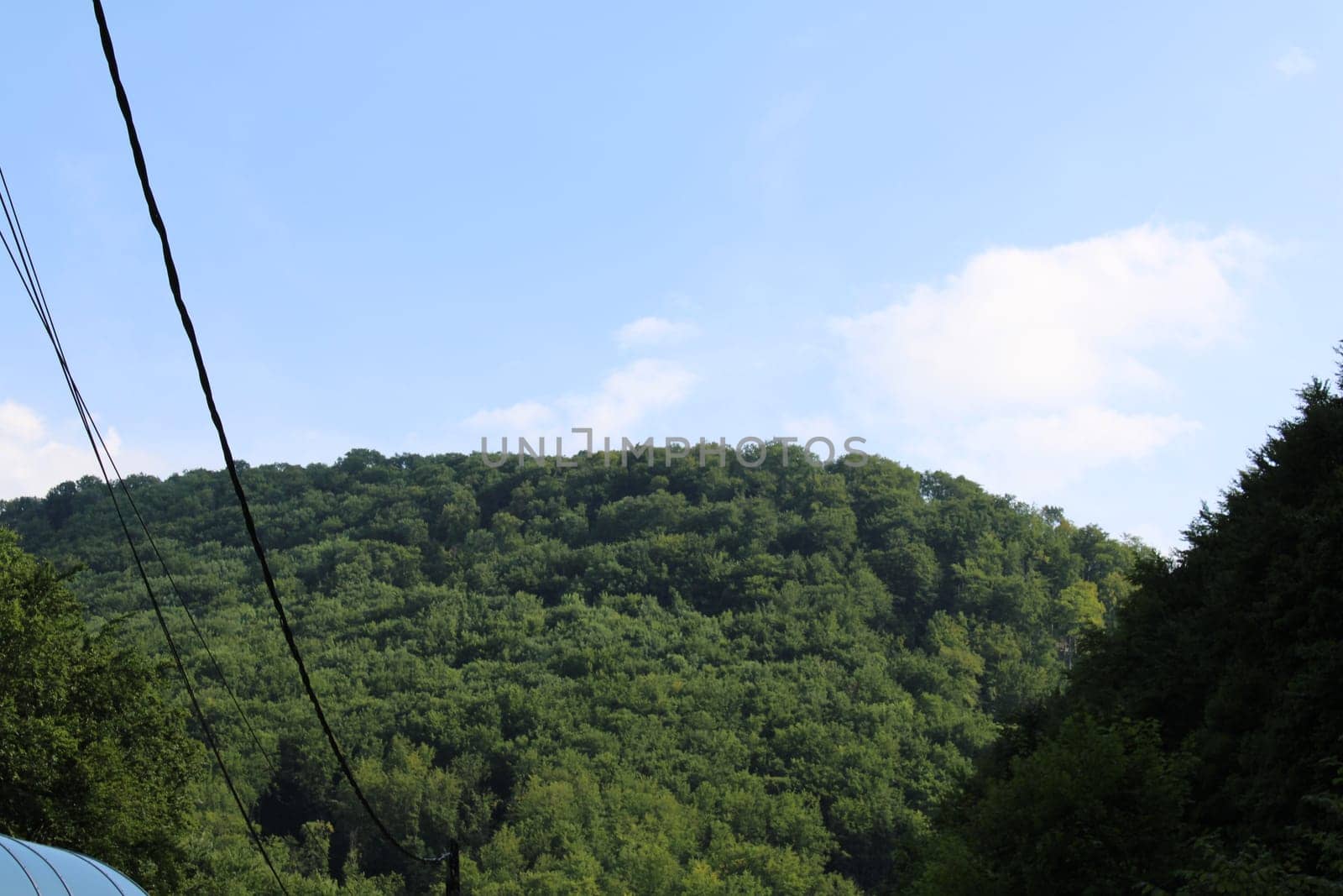 A bright sunny day showcases a vibrant green hillside framed by utility lines. The landscape reveals an untouched natural environment with a clear blue sky above.