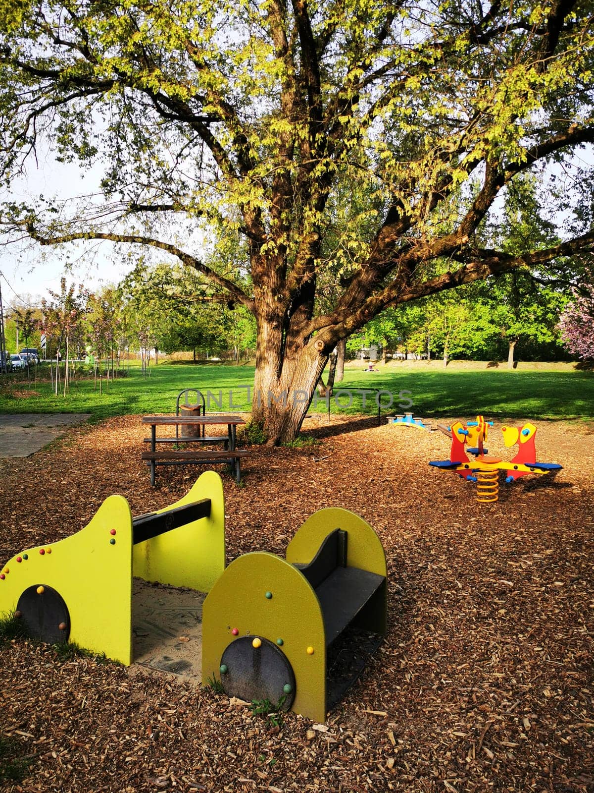 Children enjoy an outdoor playground featuring vibrant play equipment surrounded by a lush green landscape and beautiful trees on a sunny day.