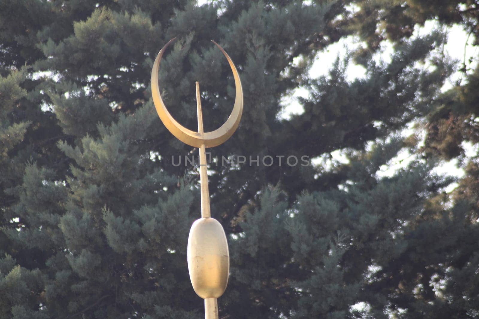A striking golden crescent moon sculpture is perched high on a pole, framed by tall evergreen trees, capturing the warm glow of the setting sun in the background.