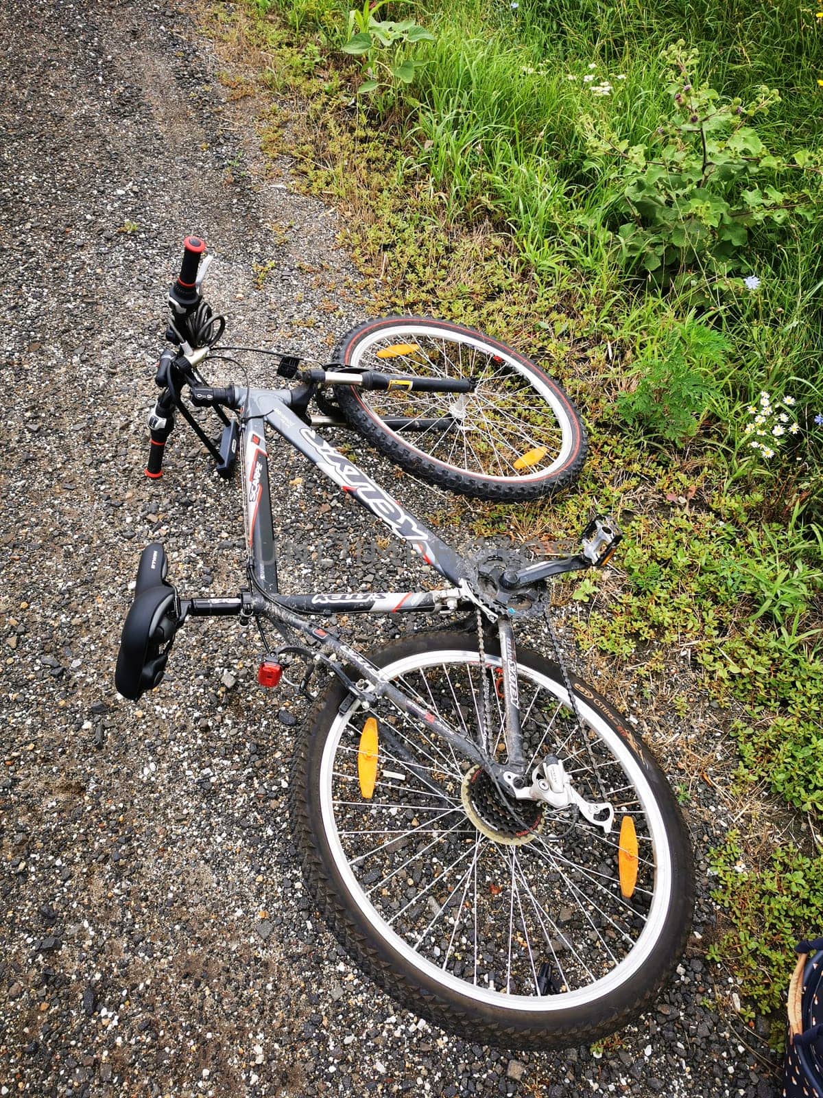 A mountain bike lies on its side on a gravel trail, with scattered grass and plants around, indicating a possible mishap while riding.