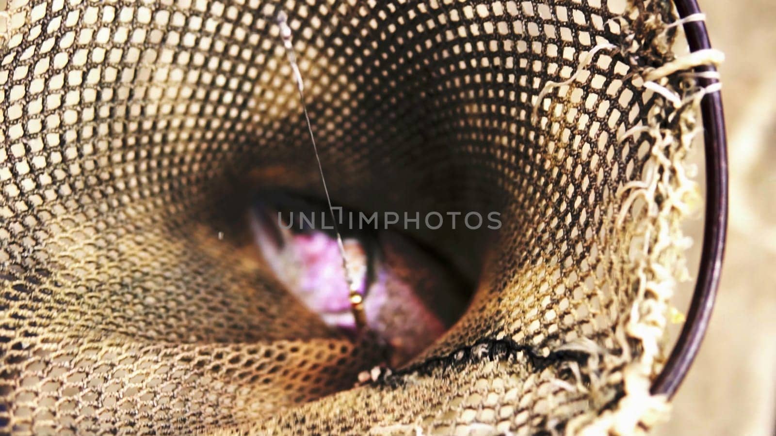 A captivating view inside a fishing net, showcasing the unique marine life and textures coexisting within. Stock Clip