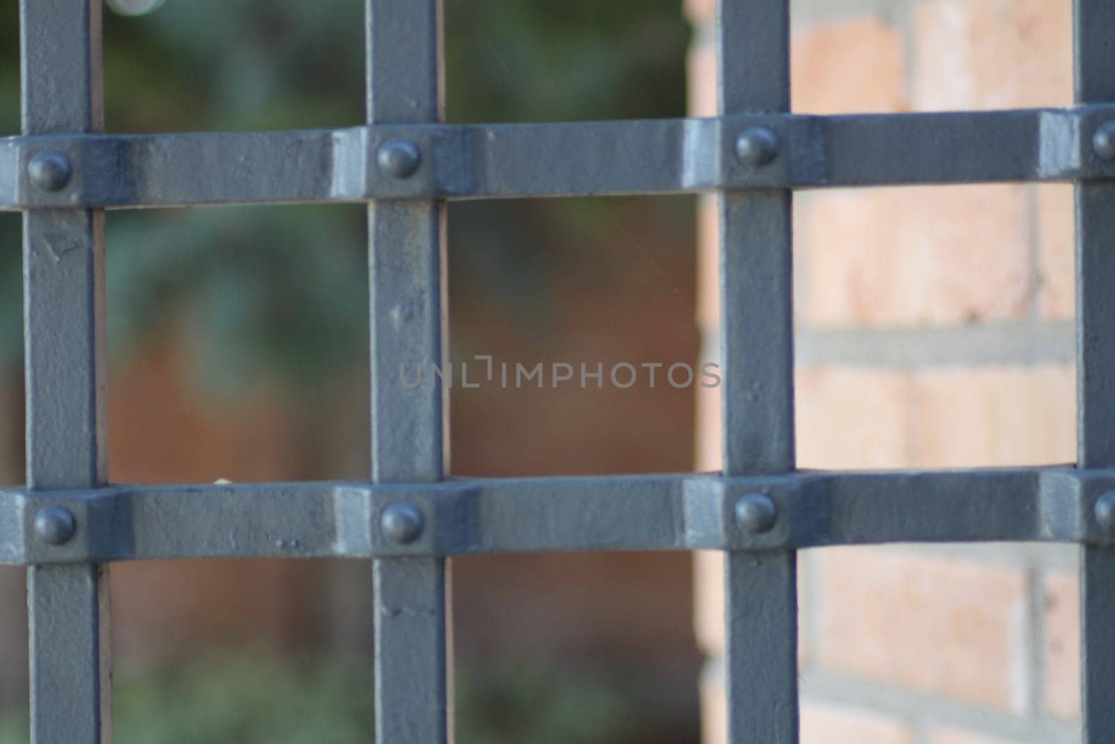 The close-up showcases a wrought iron gate featuring a crisscross pattern, set against a soft-focus brick wall in a tranquil outdoor environment, illuminated by daylight.